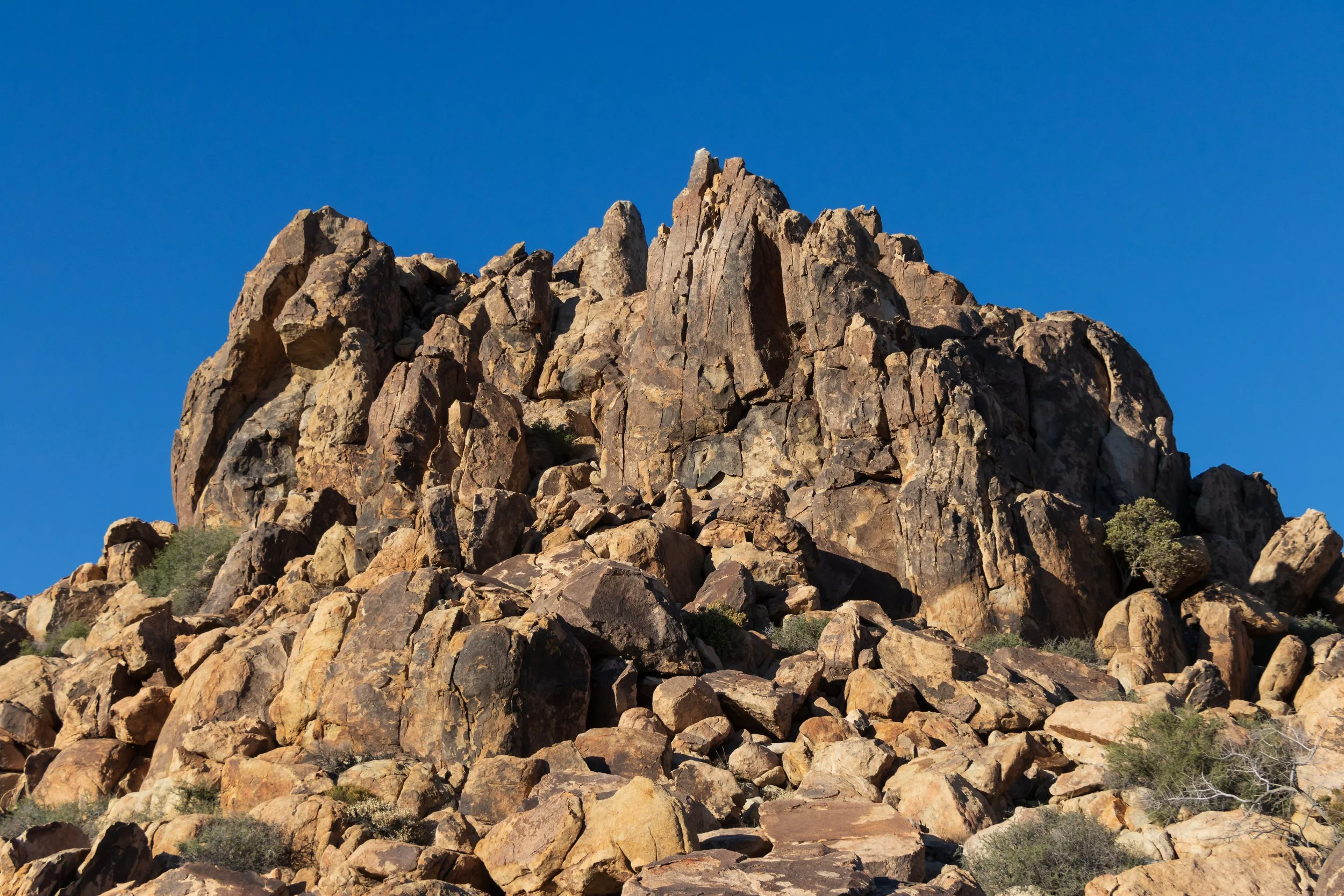 Joshua Tree, CA; April 2018