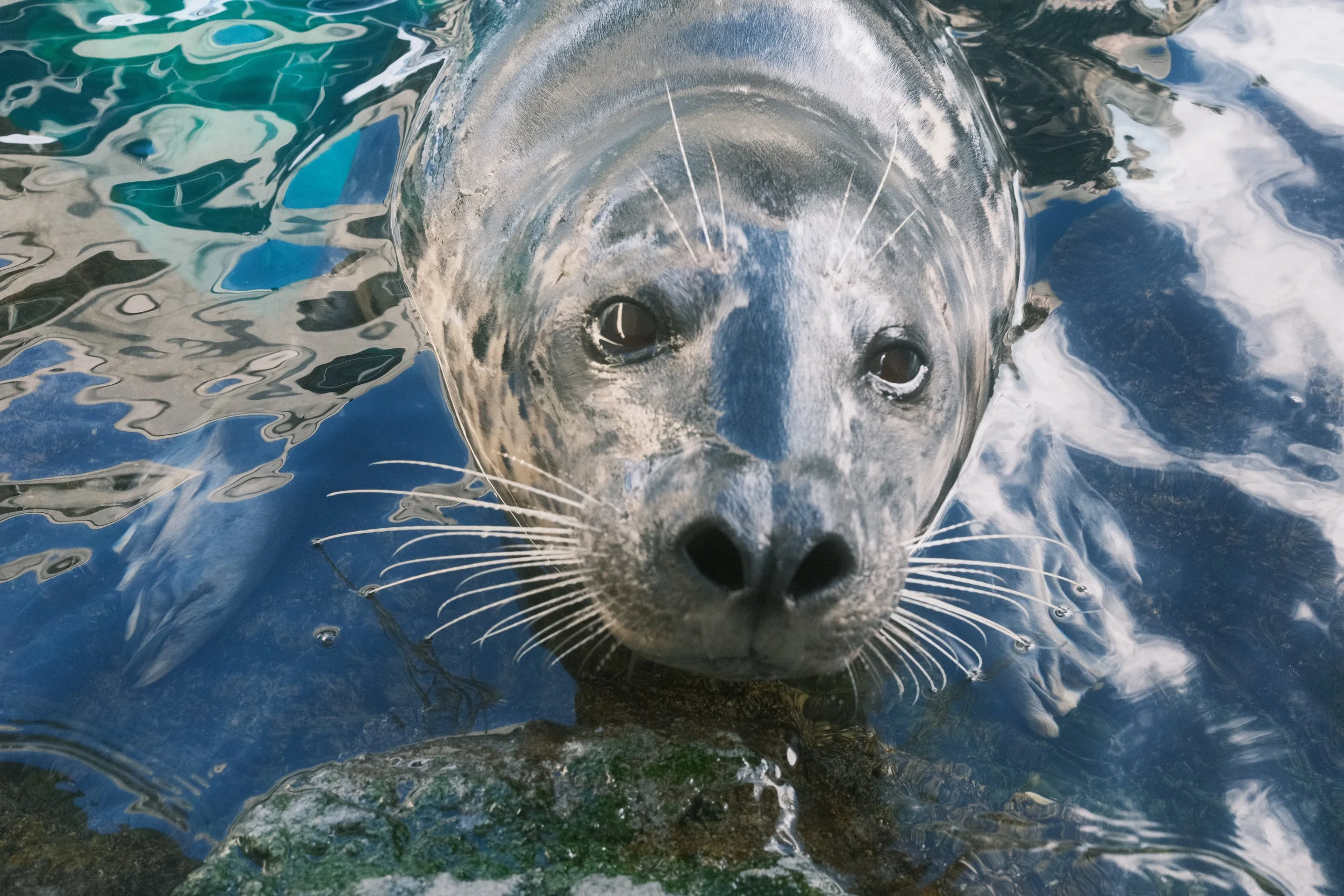 Long Beach, CA; December 2025