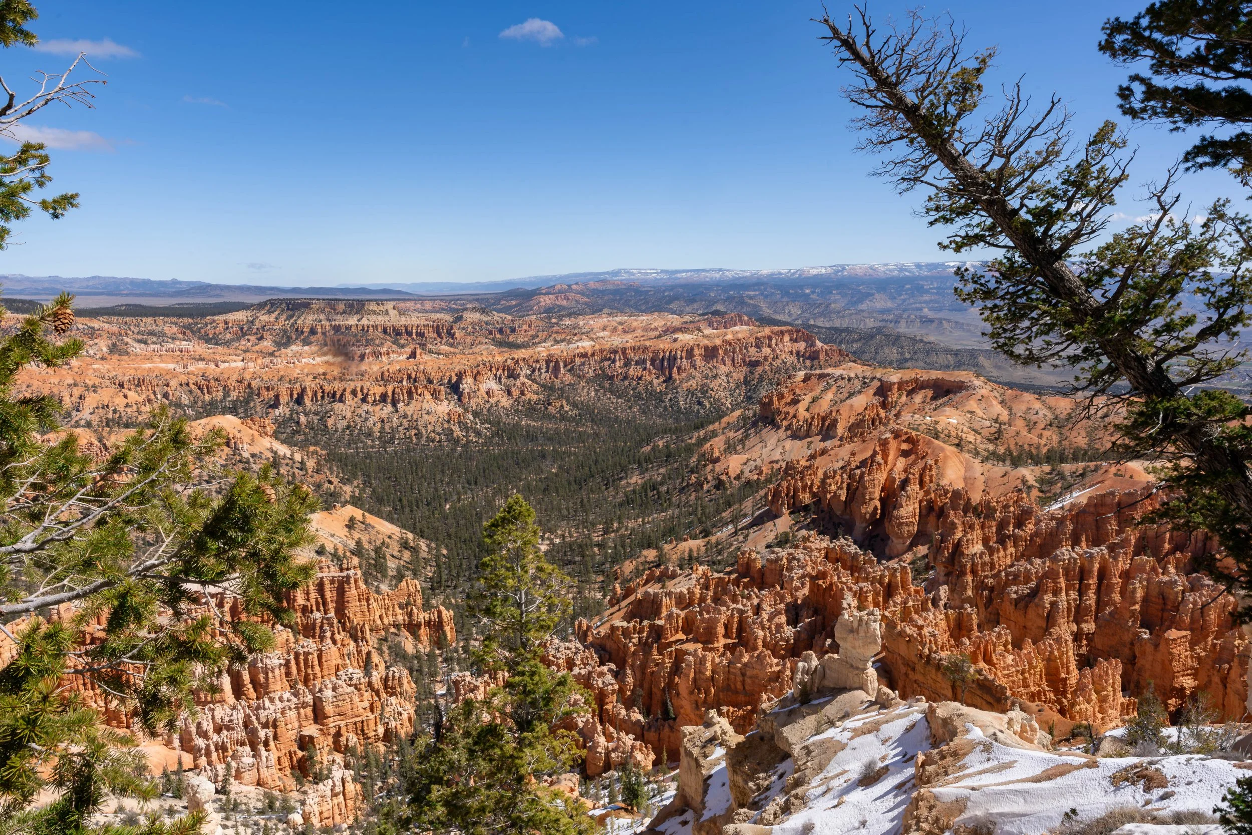 Bryce Canyon, UT; April 2024