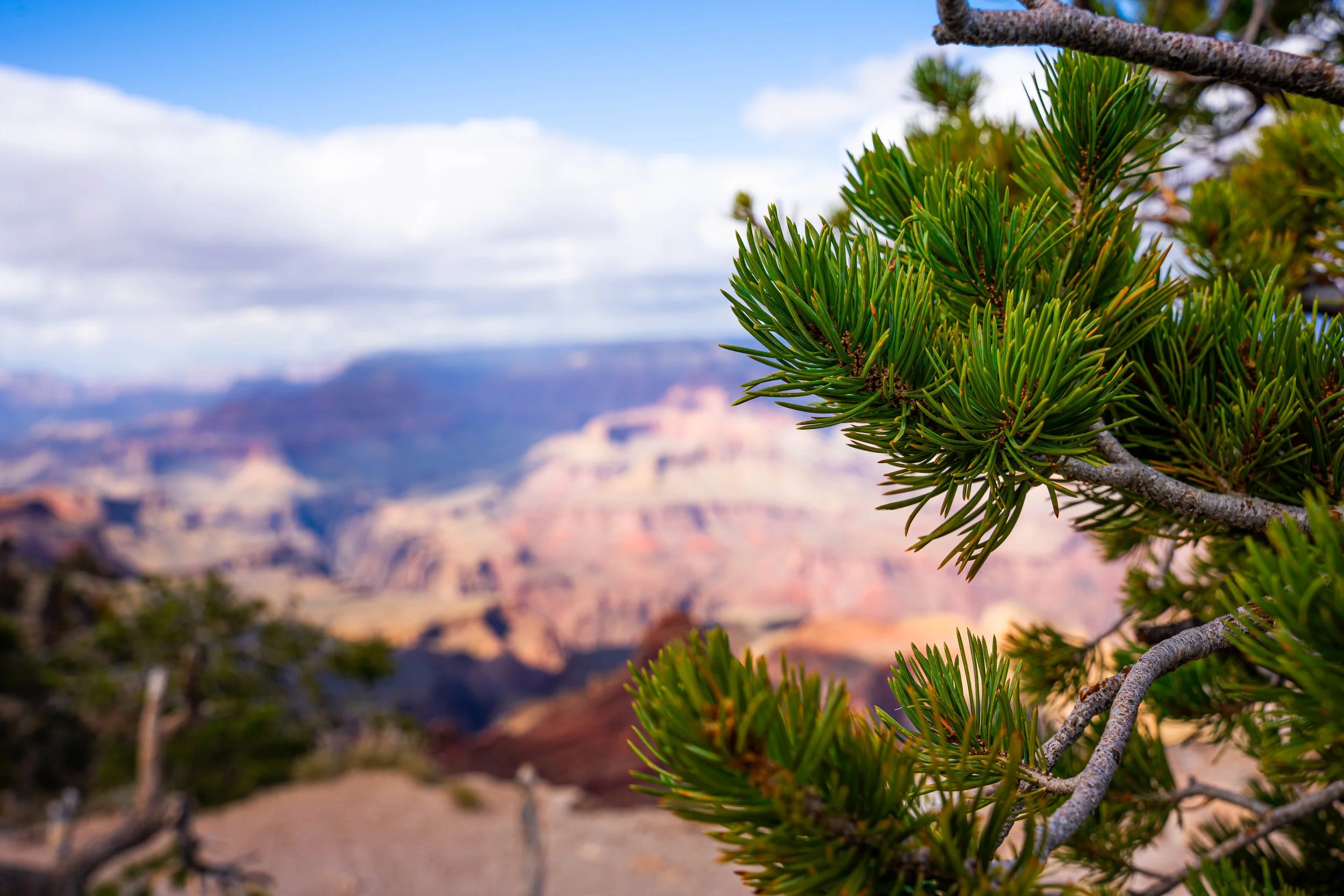 Grand Canyon, AZ; October 2024