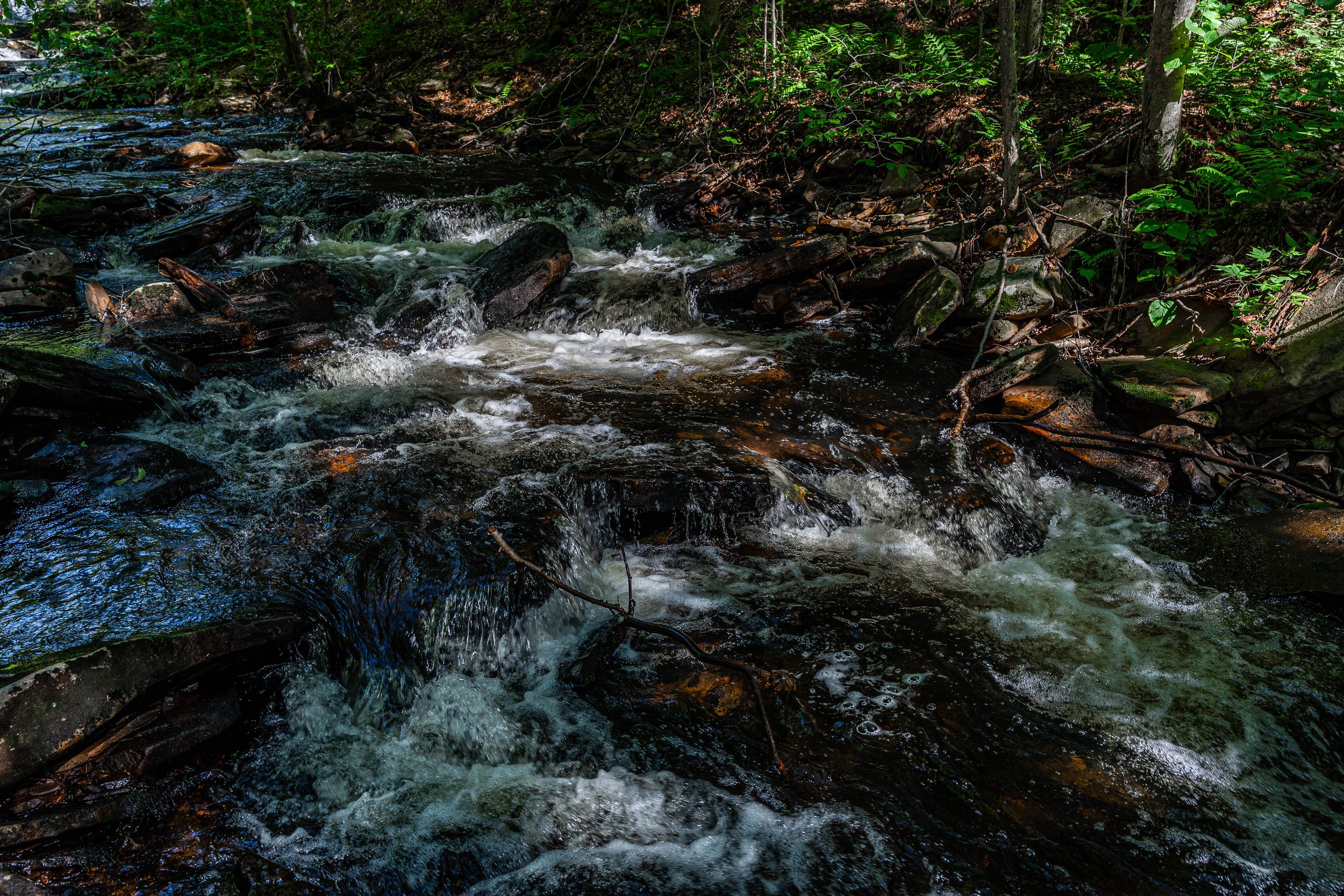 Ricketts Glen, PA; September 2023