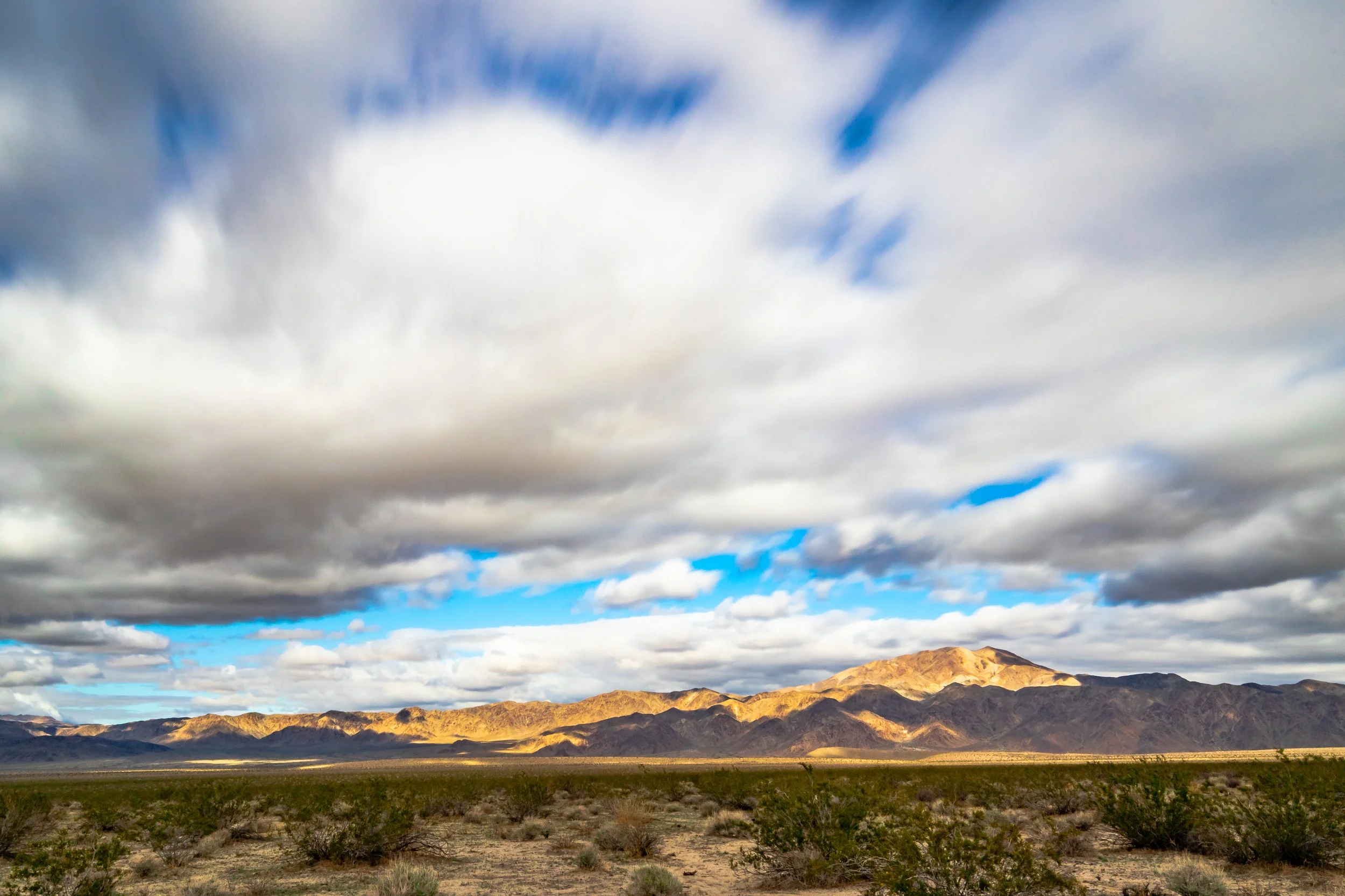 Joshua Tree, CA; December 2018