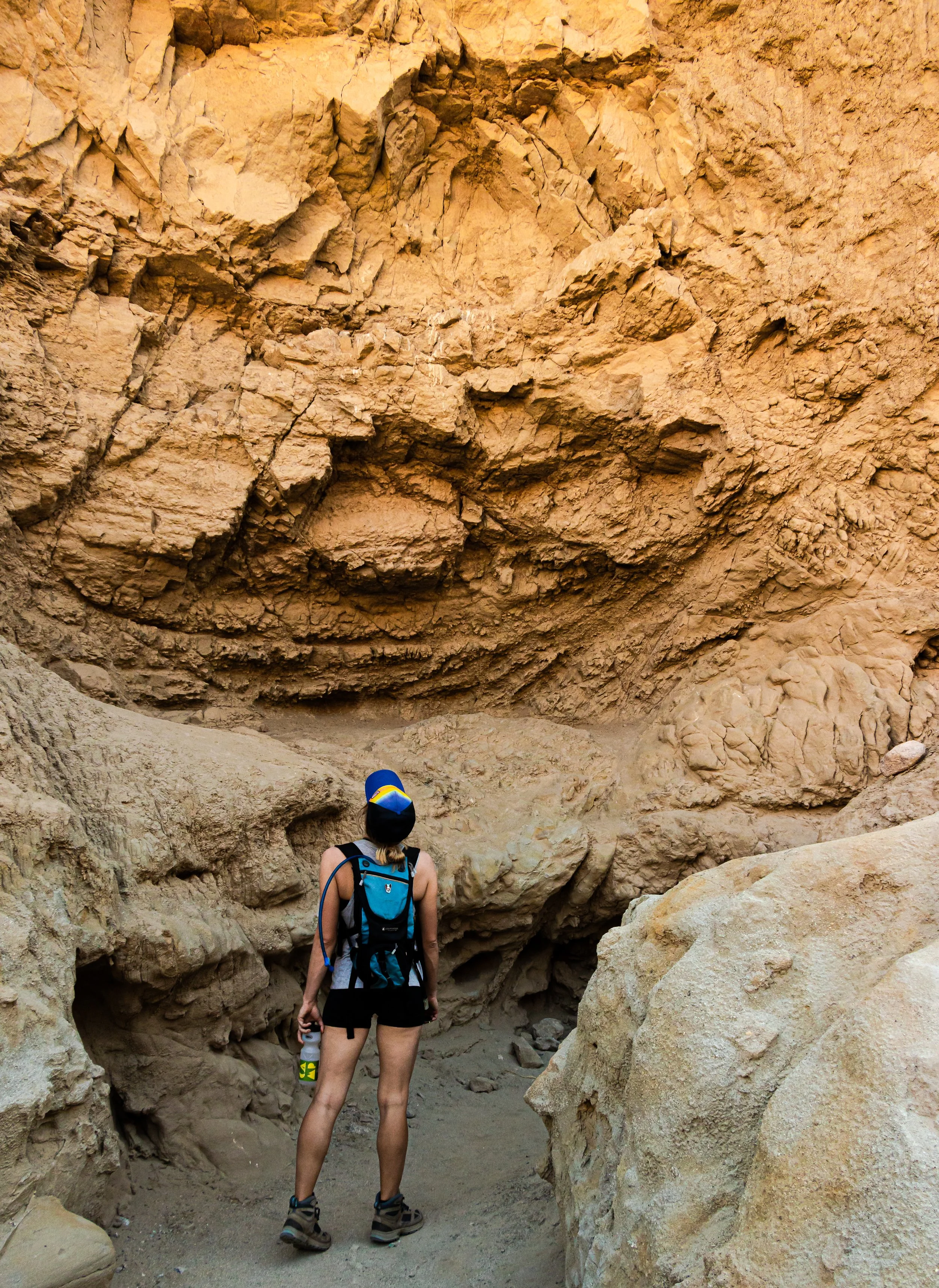 Anza-Borrego, CA; November 2019
