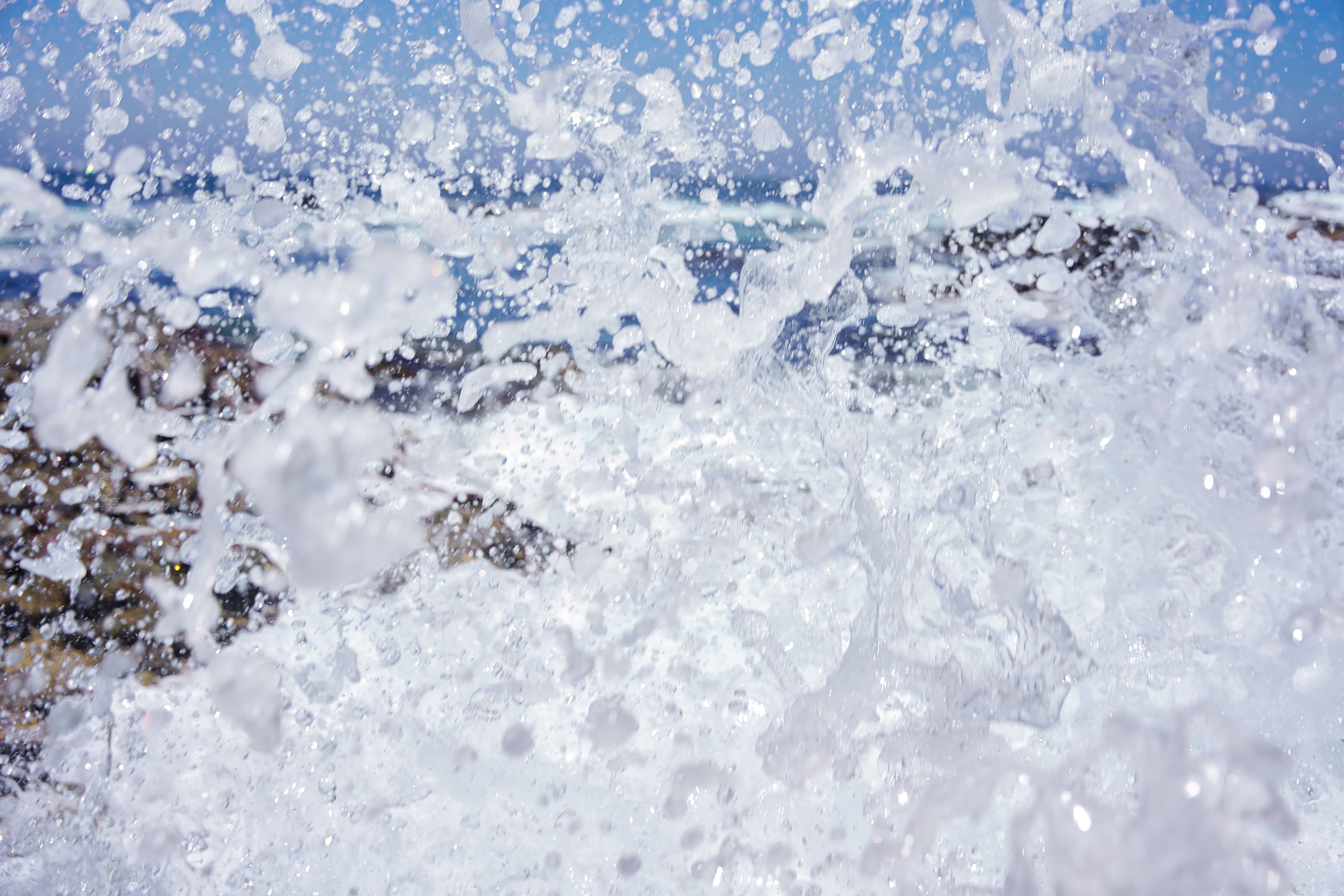 Point Lobos, CA;June 2022