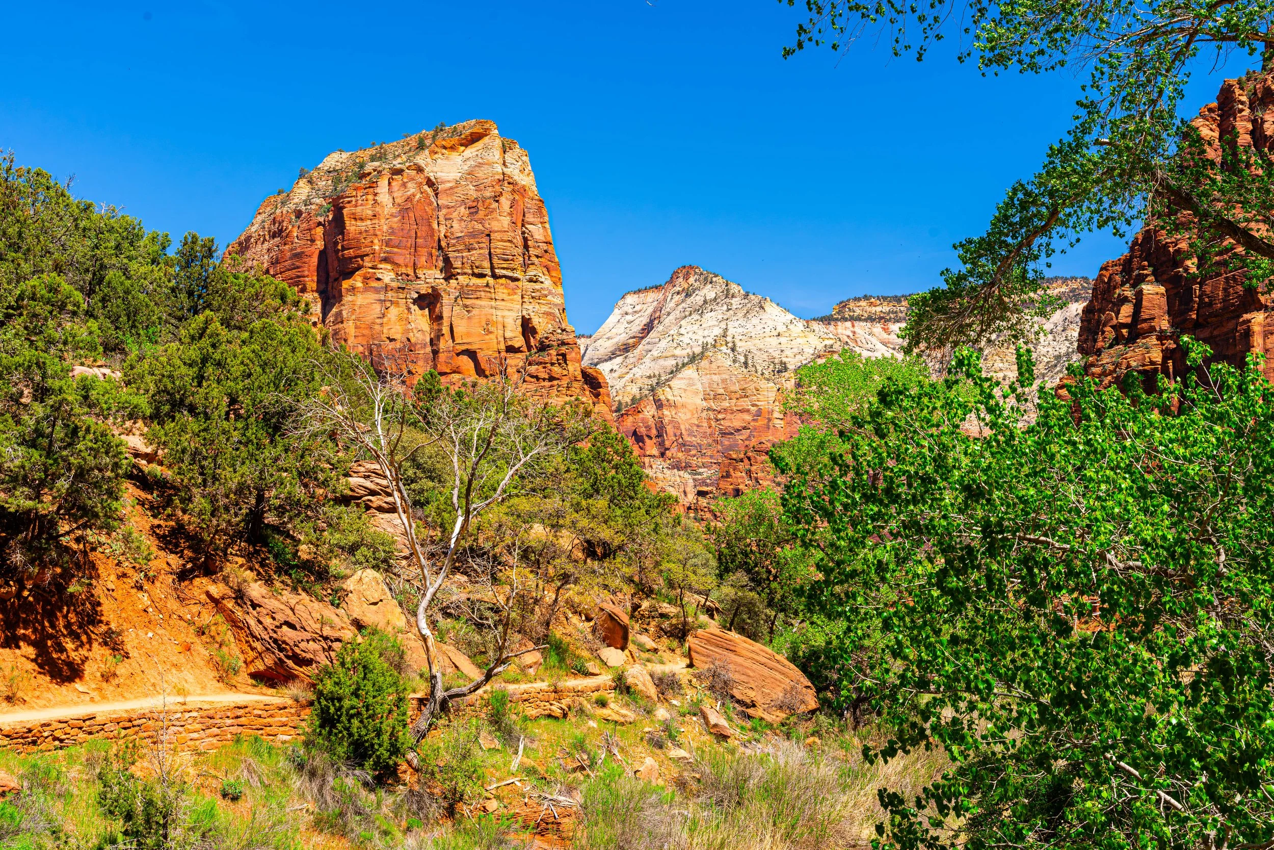 Zion National Park, UT; April 2024