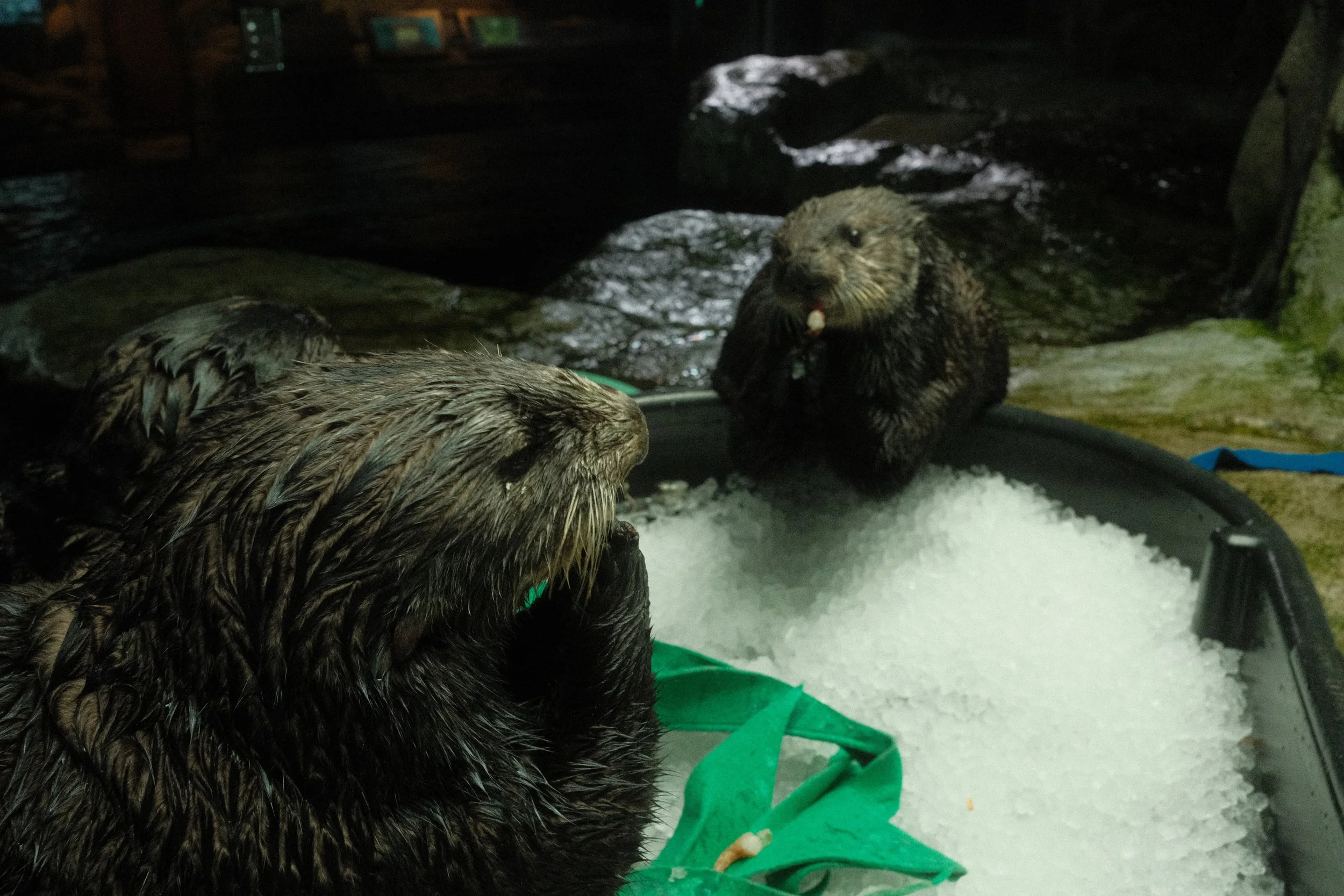 Long Beach, CA; December 2025