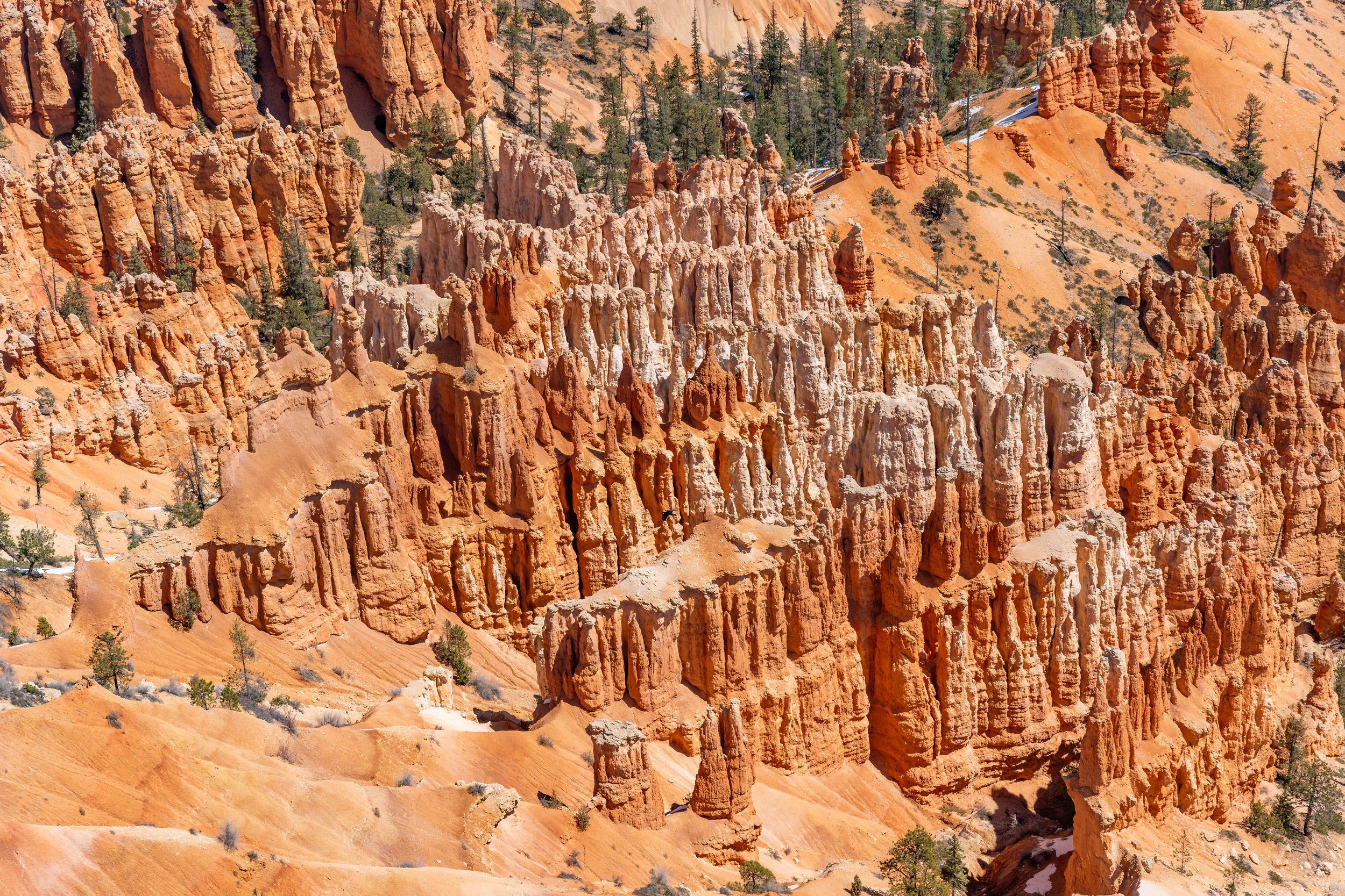 Bryce Canyon, UT; April 2024