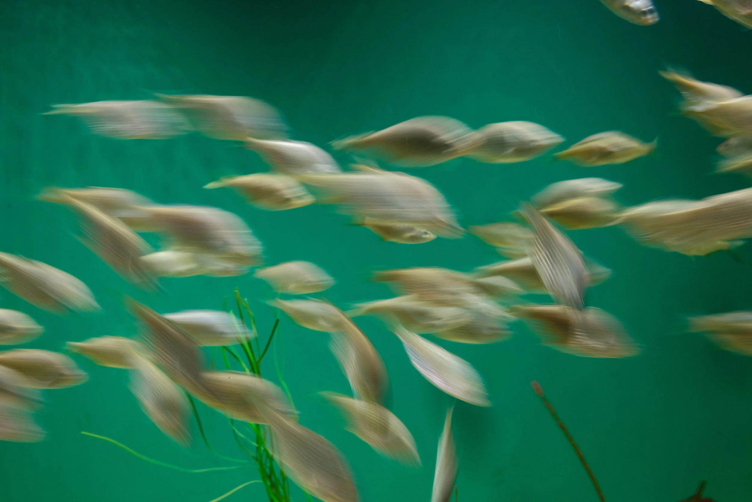 Long Beach, CA; December 2025