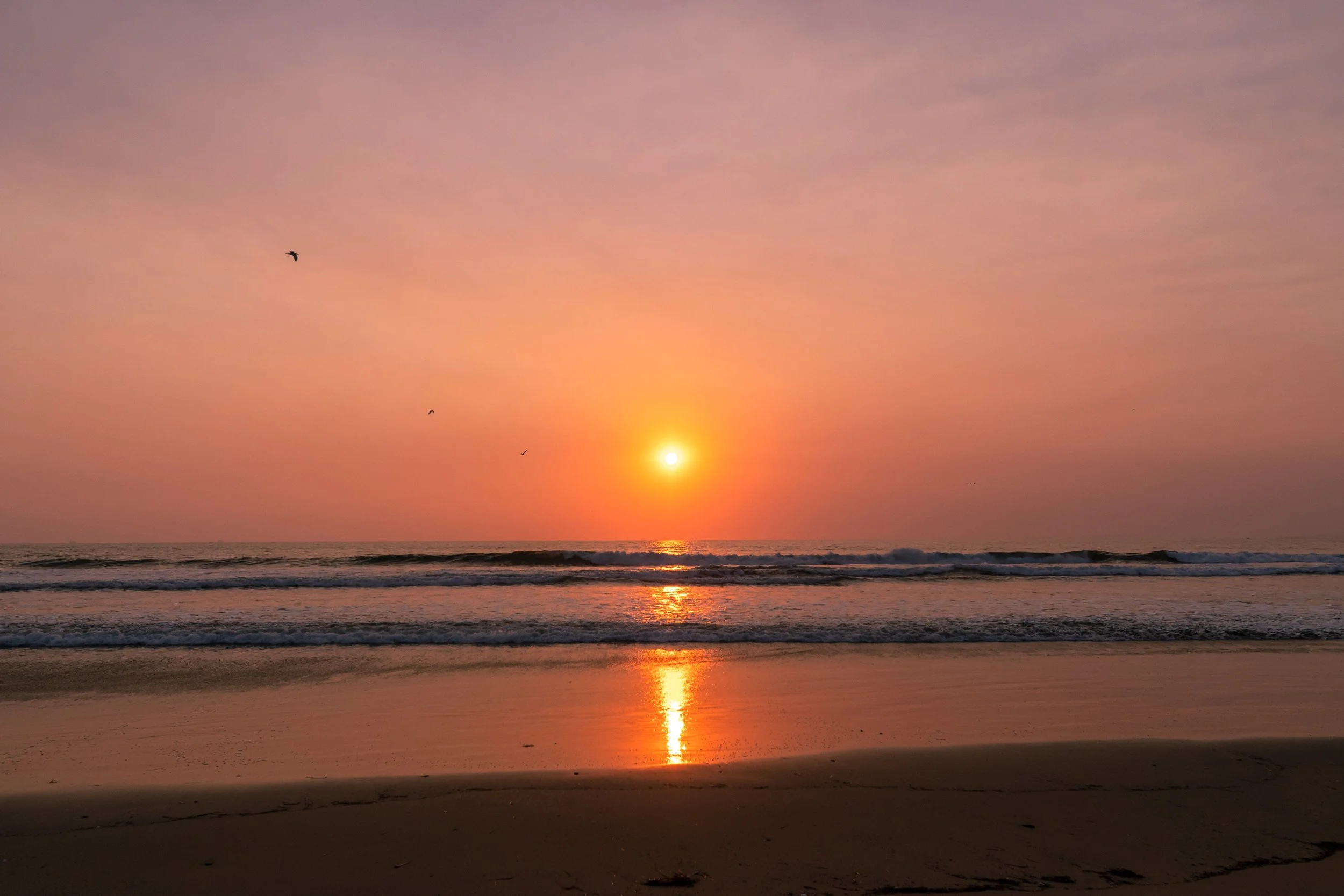 Huntington Beach, CA; December 2017