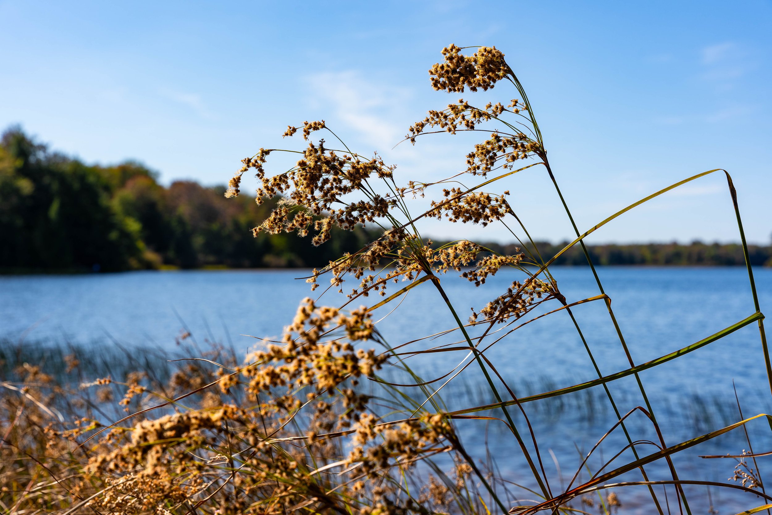 Ricketts Glen, PA; September 2023