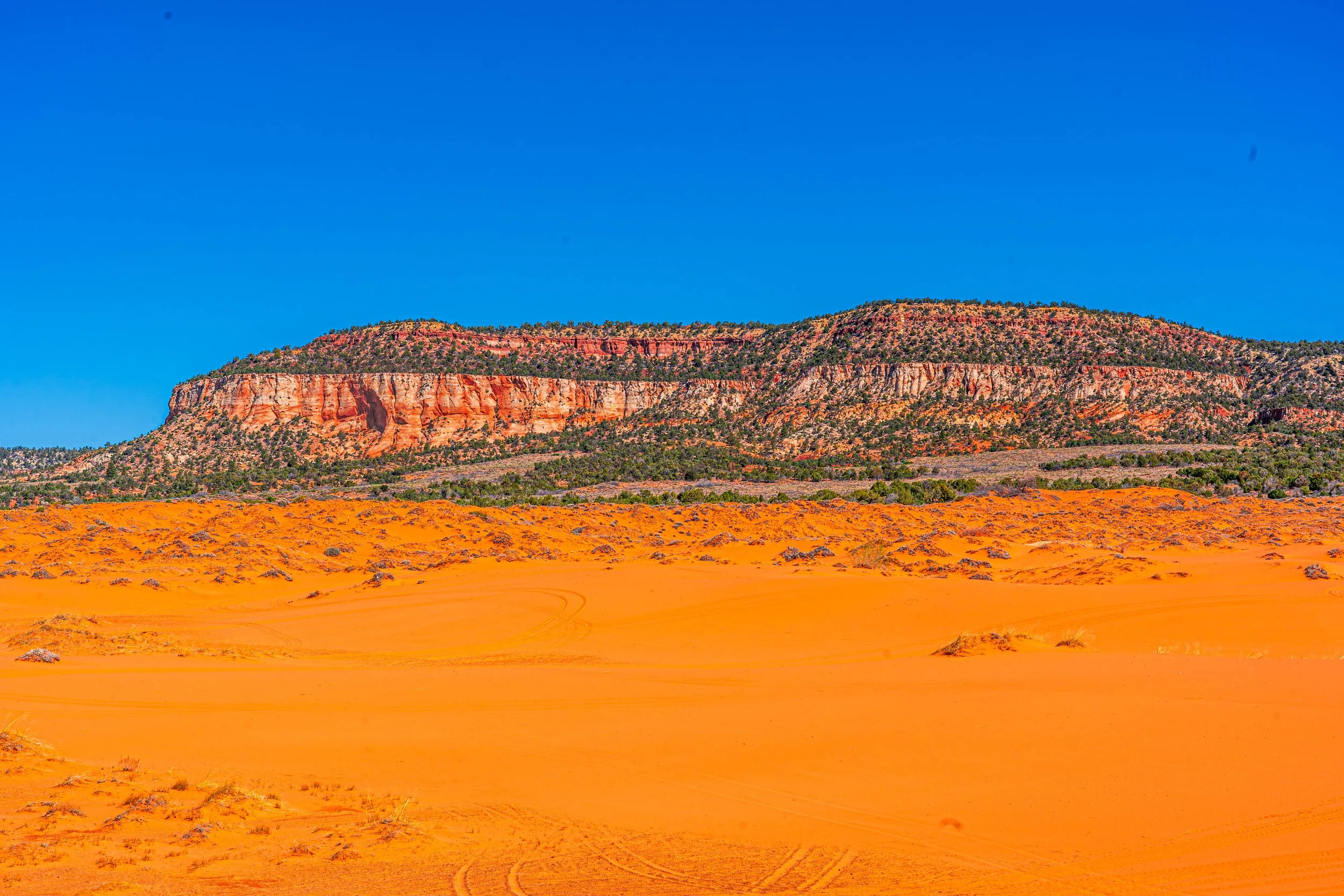 Kanab, UT; April 2024