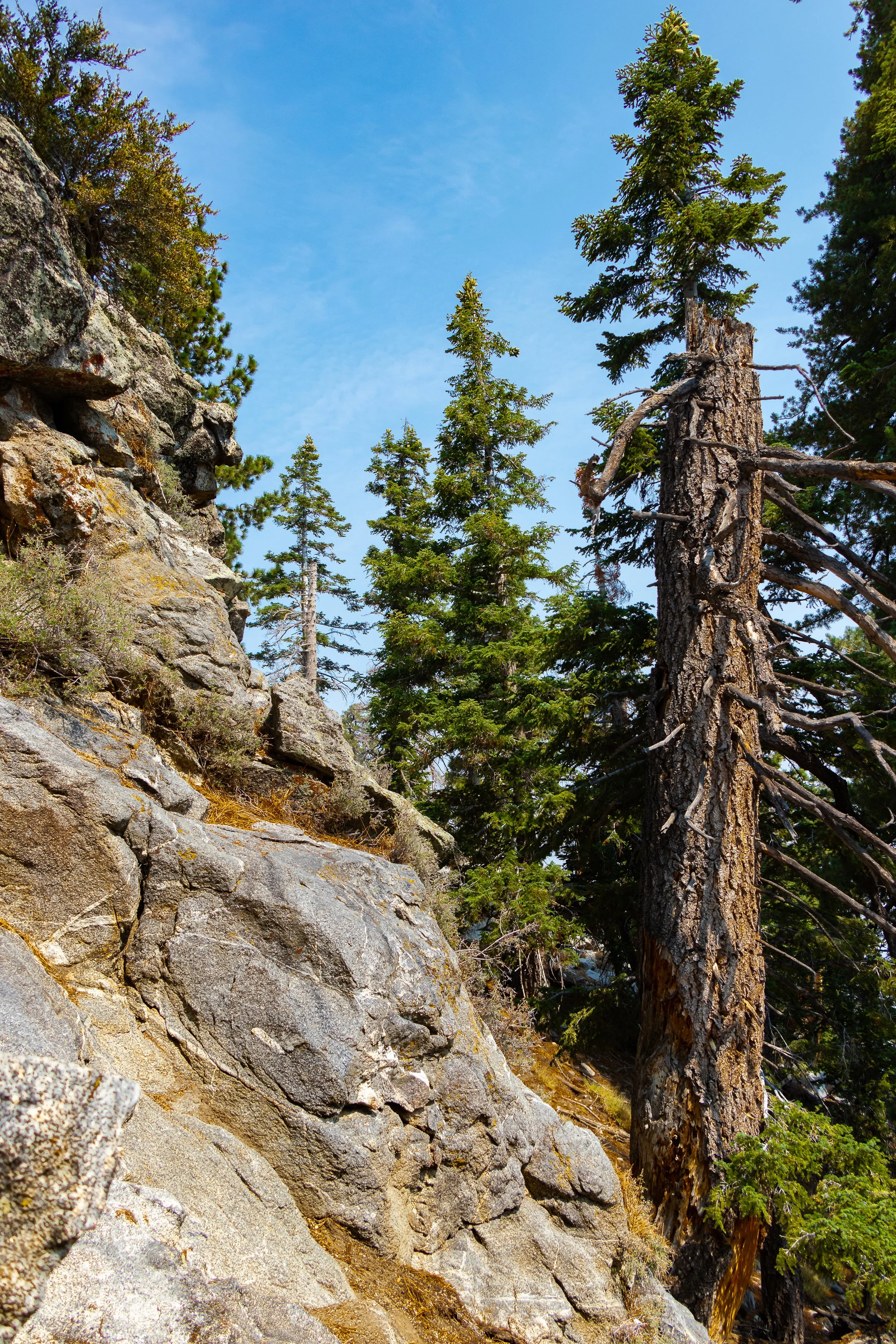 San Jacinto, CA; August 2018