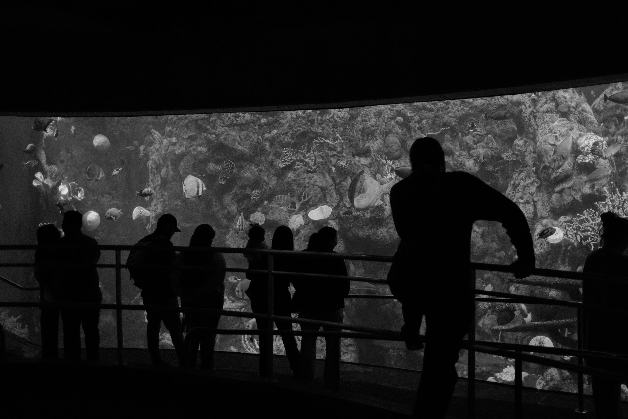 Long Beach, CA; November 2025