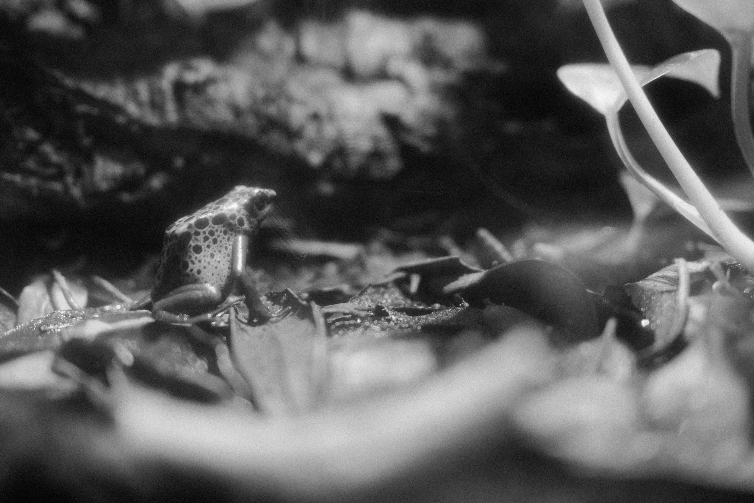 Long Beach, CA; November 2025