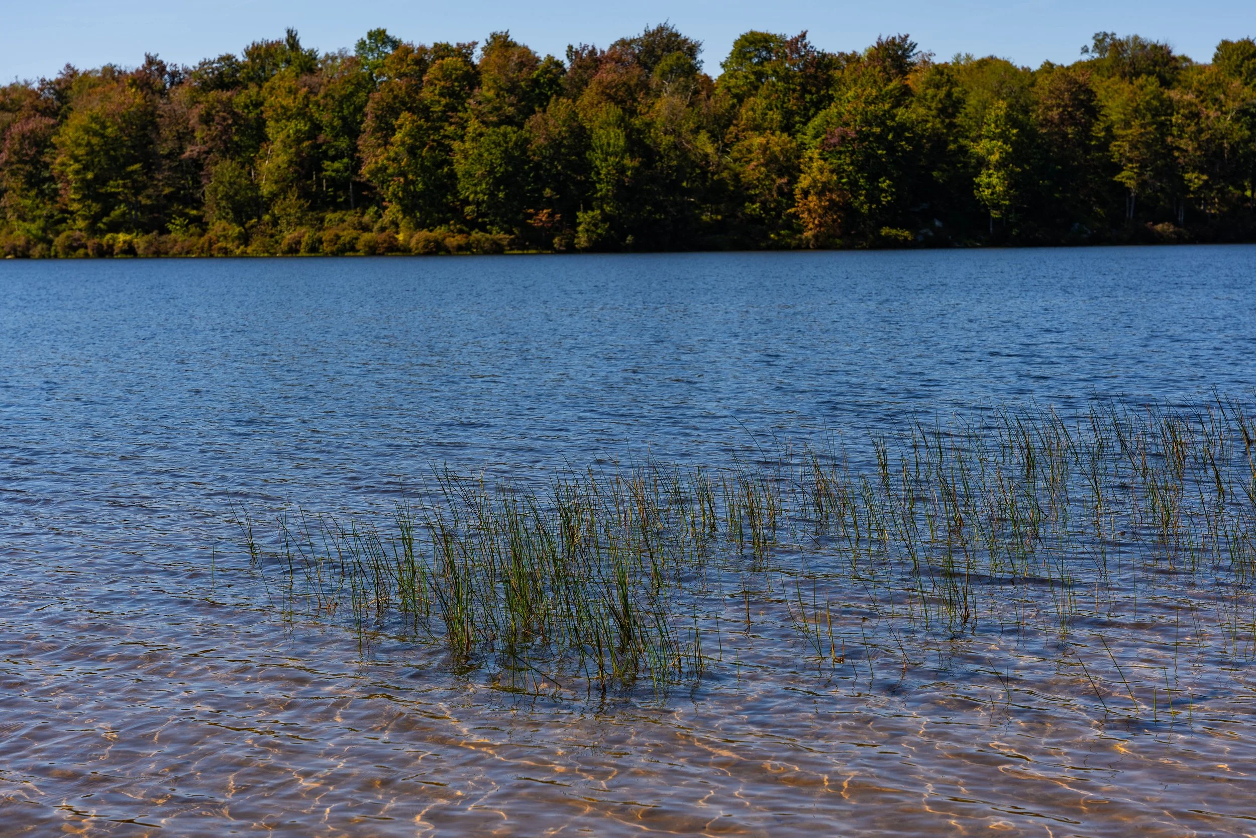 Ricketts Glen, PA; September 2023