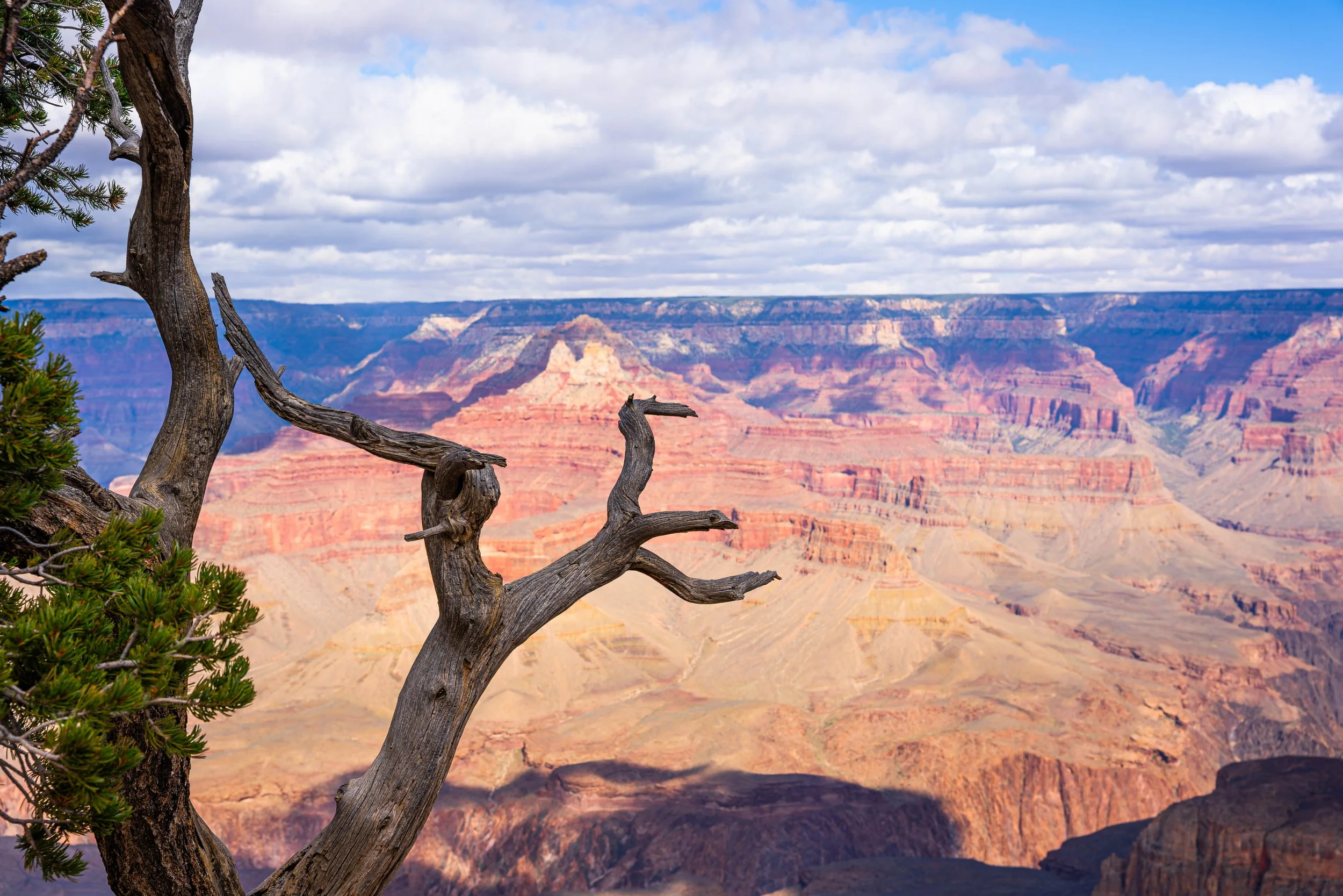 Grand Canyon, AZ; October 2024