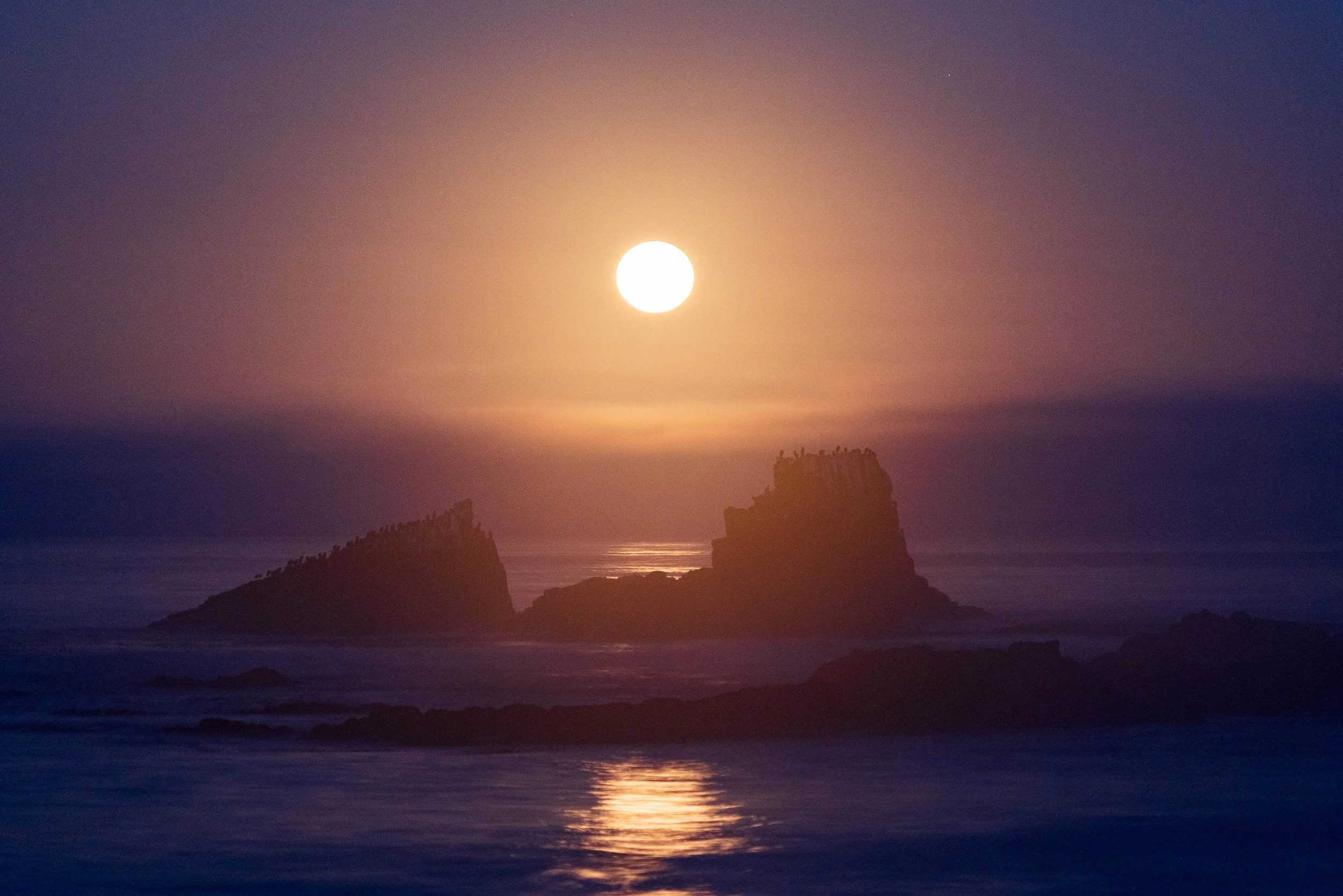 Laguna Beach, CA; August 2023