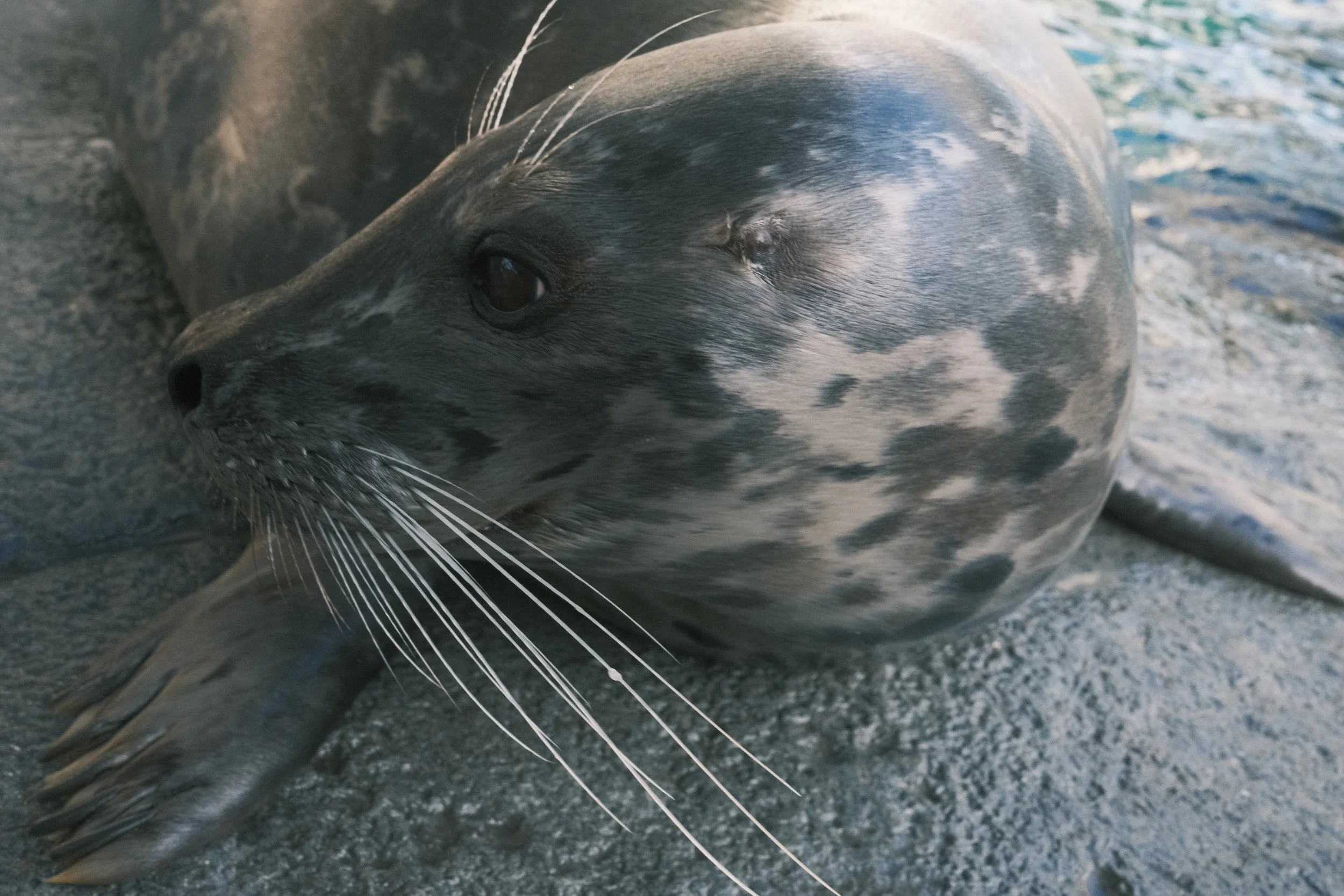 Long Beach, CA; December 2025