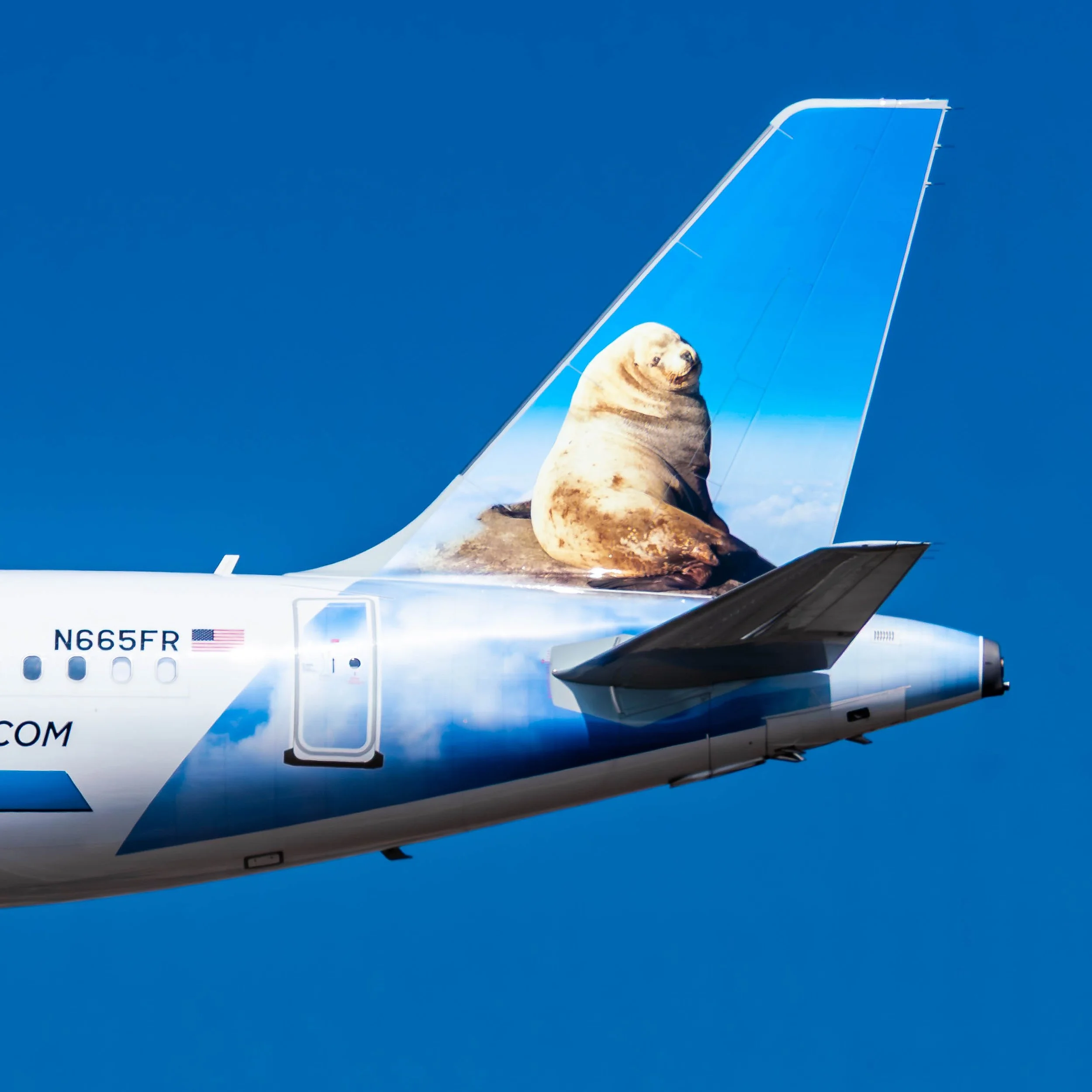 Frontier Airlines Airbus A321neo "George the Stellar Sea Lion"