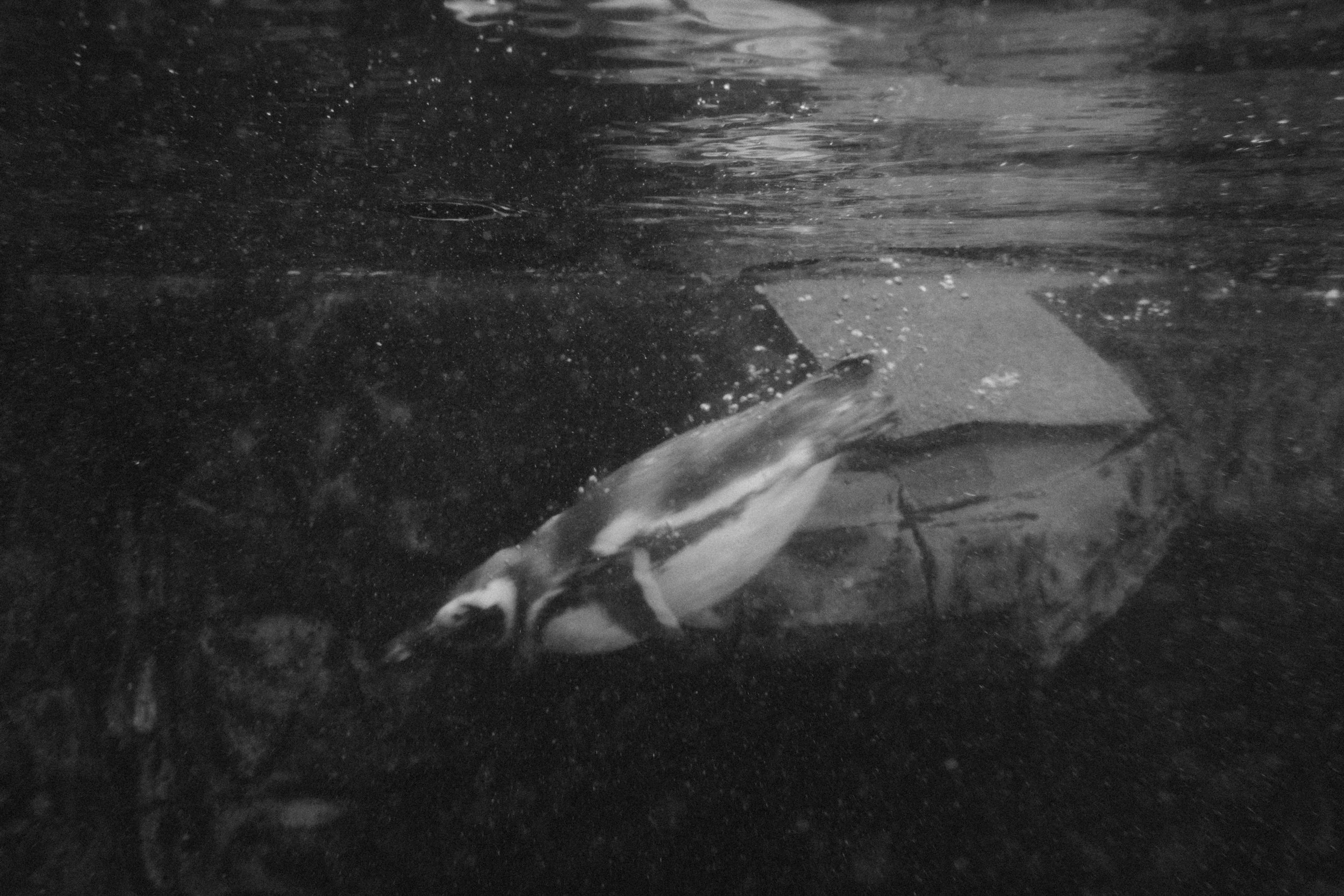 Long Beach, CA; November 2025