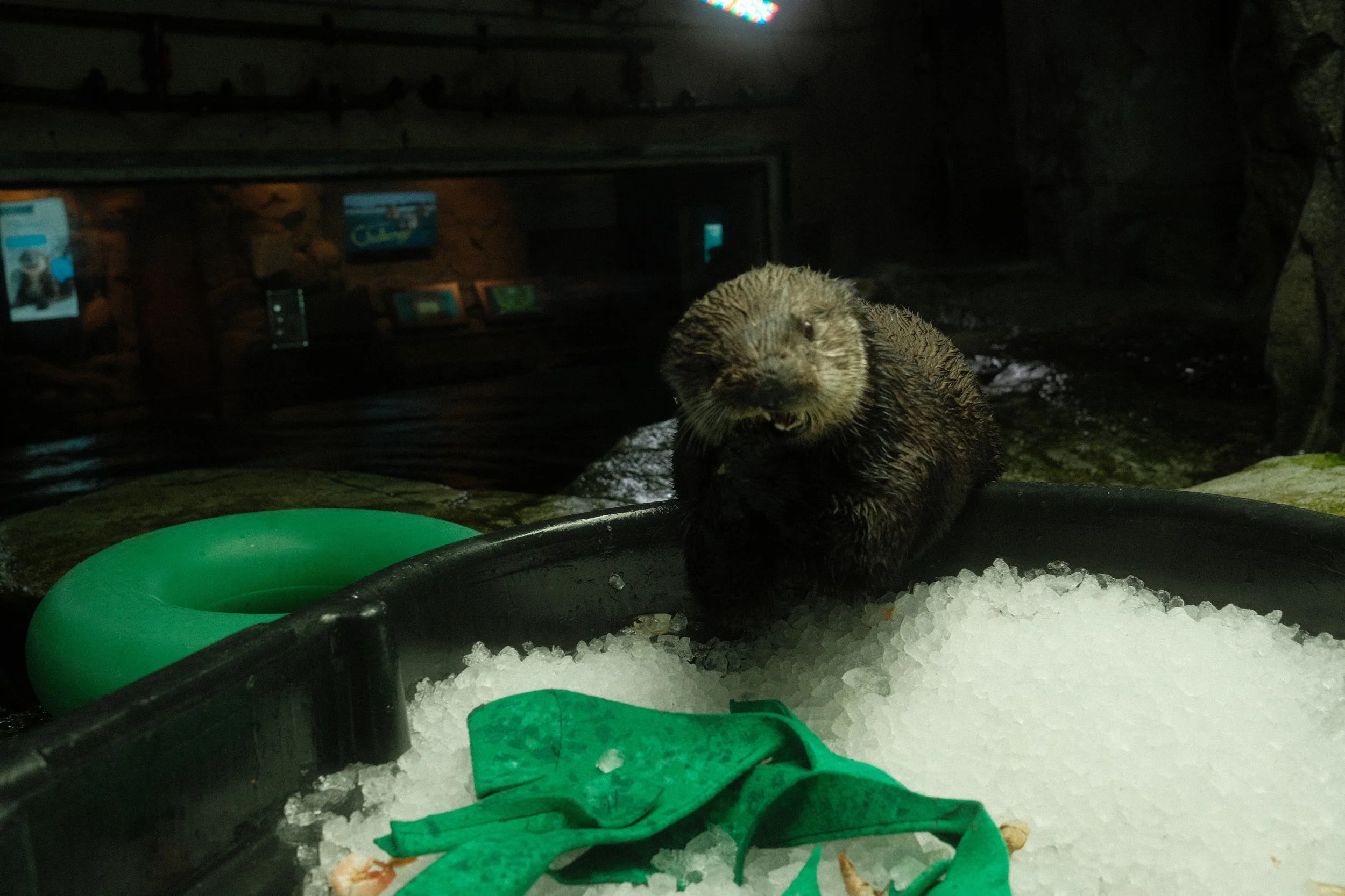 Long Beach, CA; December 2025