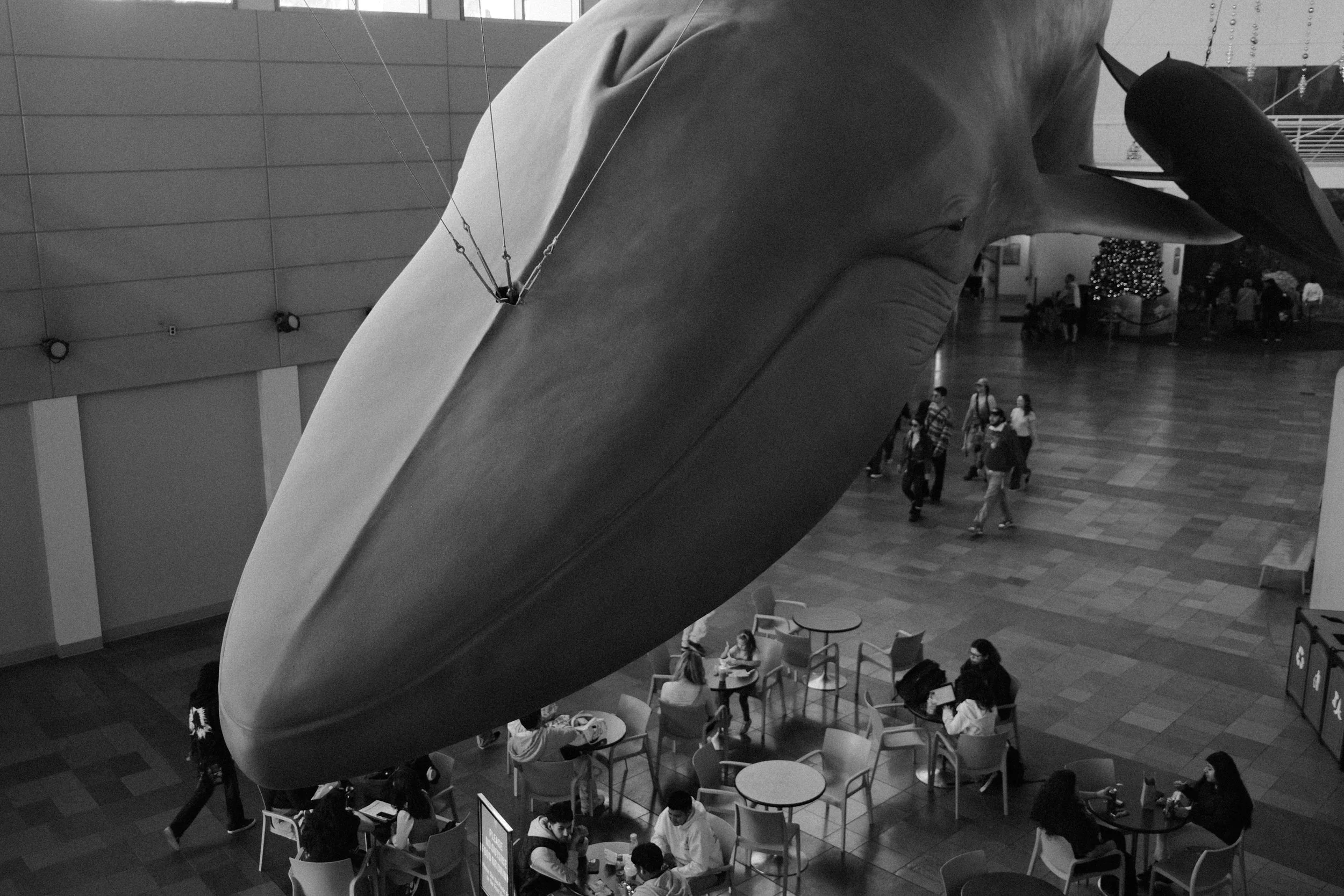 Long Beach, CA; November 2025