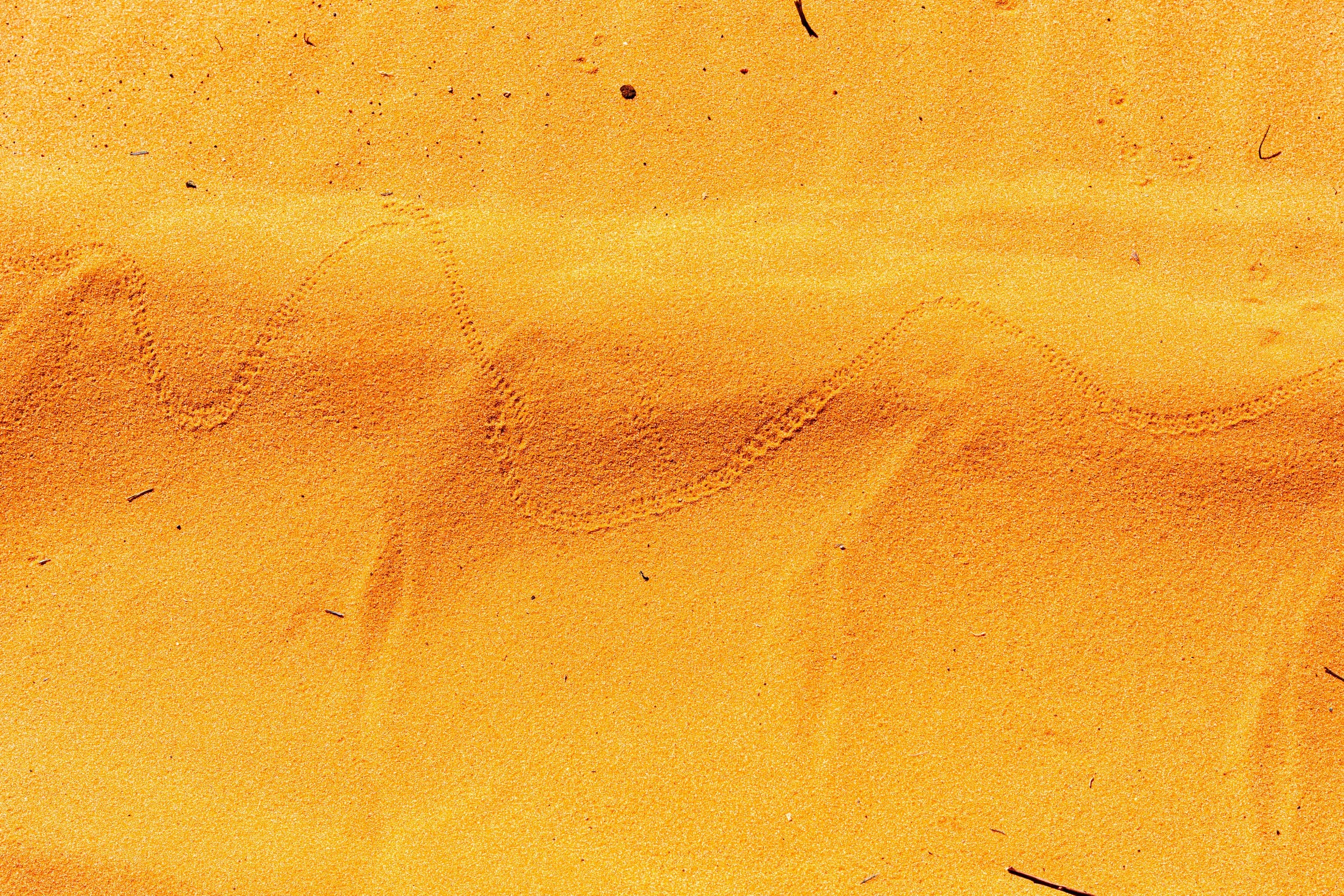 Kanab, UT; April 2024