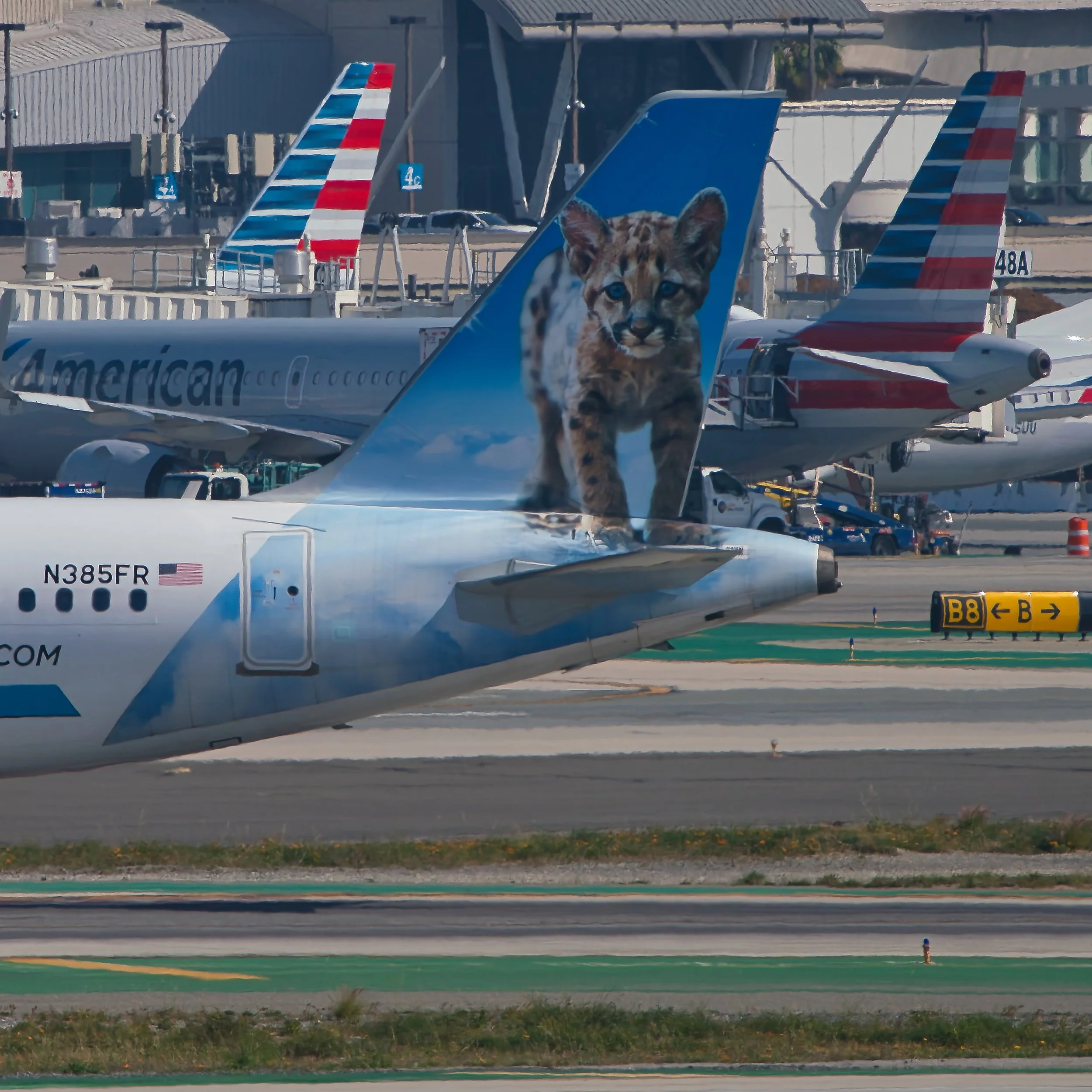 Frontier Airlines A320neo "Percy the Florida Panther"