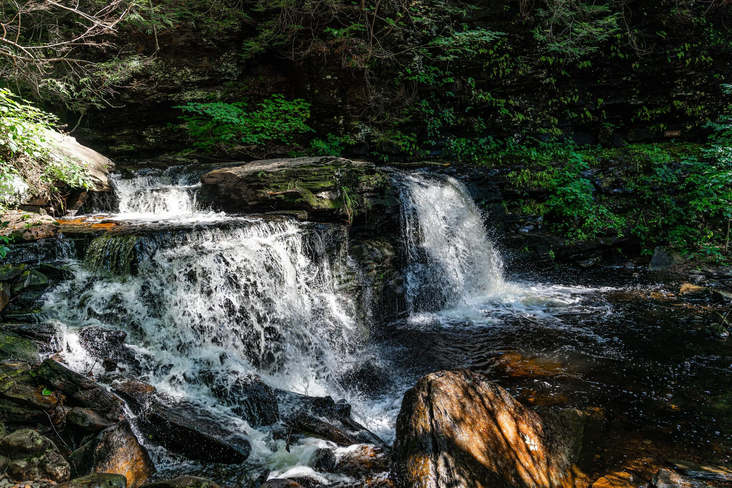 Ricketts Glen, PA; September 2023