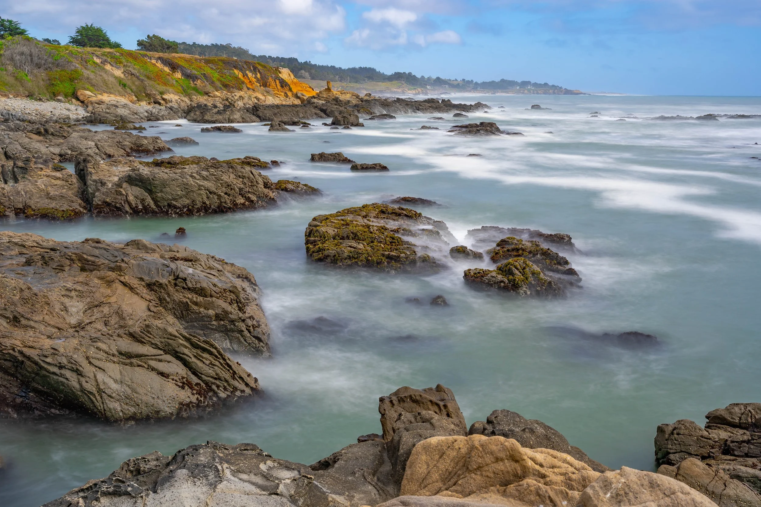 Pescadero, CA; June 2022