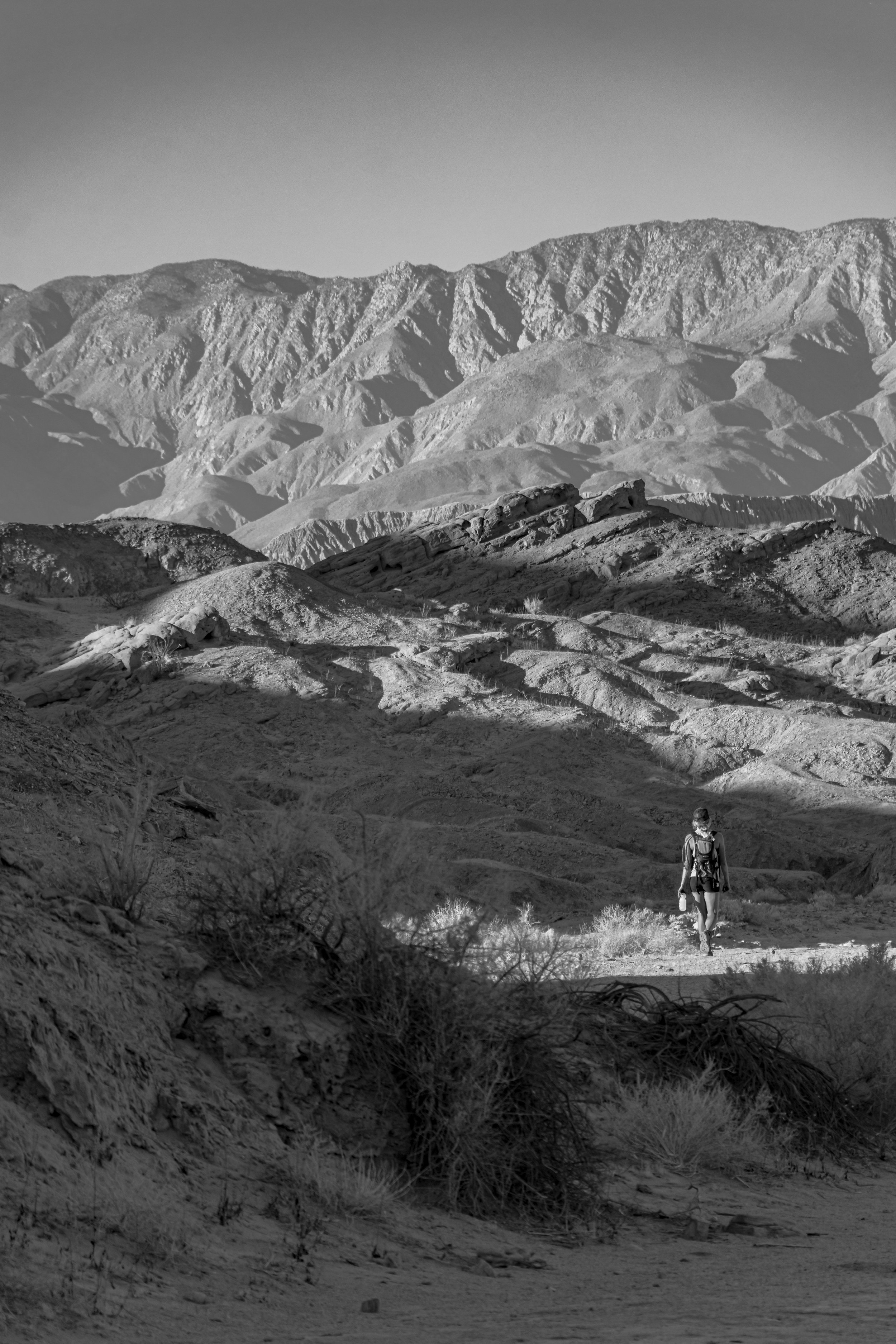 Anza-Borrego, CA; November 2019