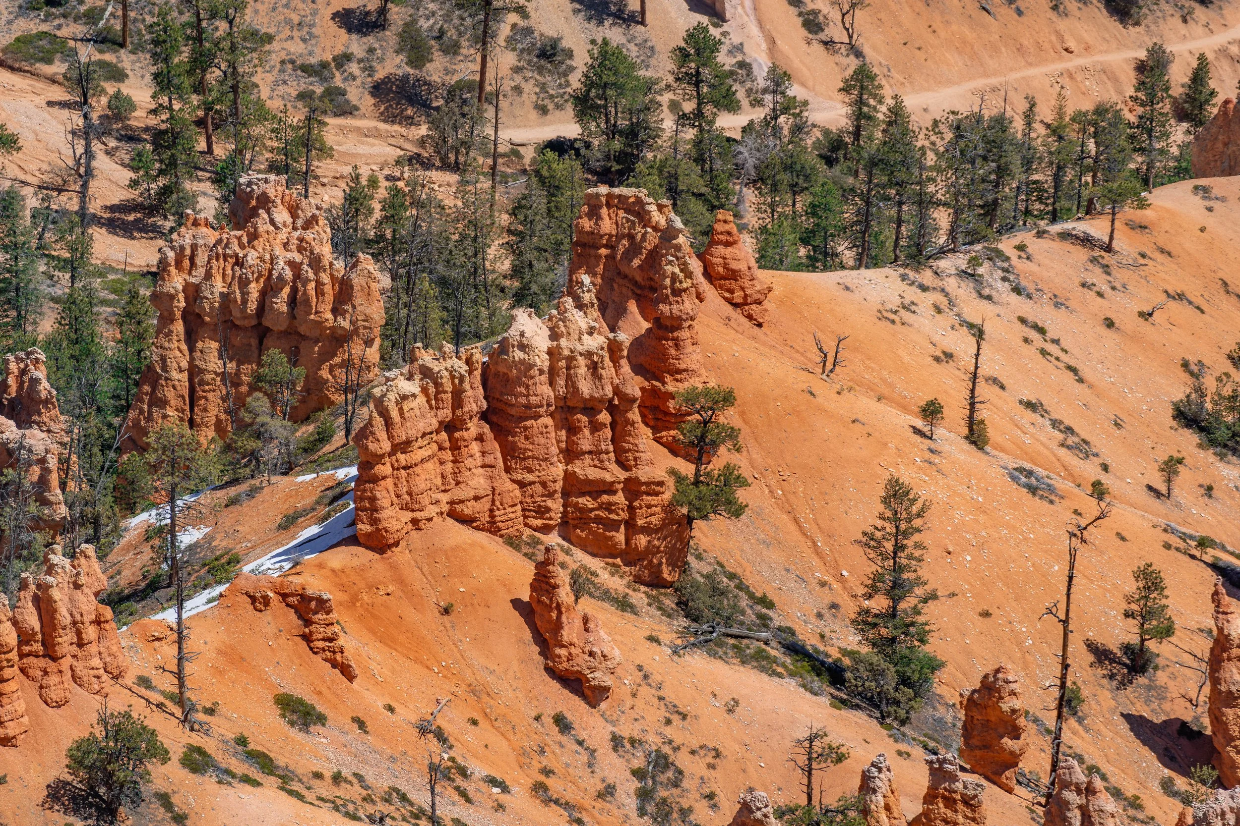 Bryce Canyon, UT; April 2024