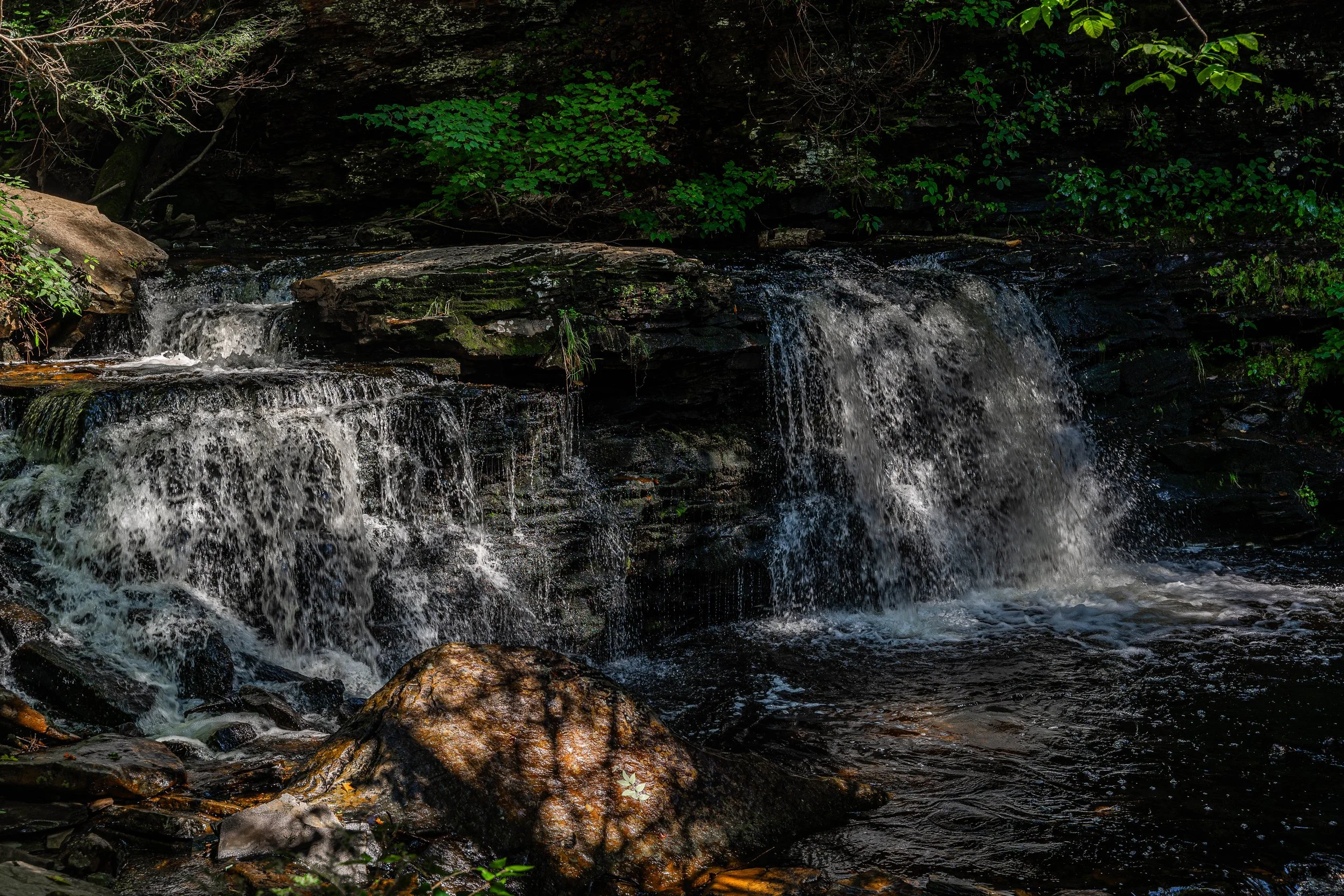 Ricketts Glen, PA; September 2023
