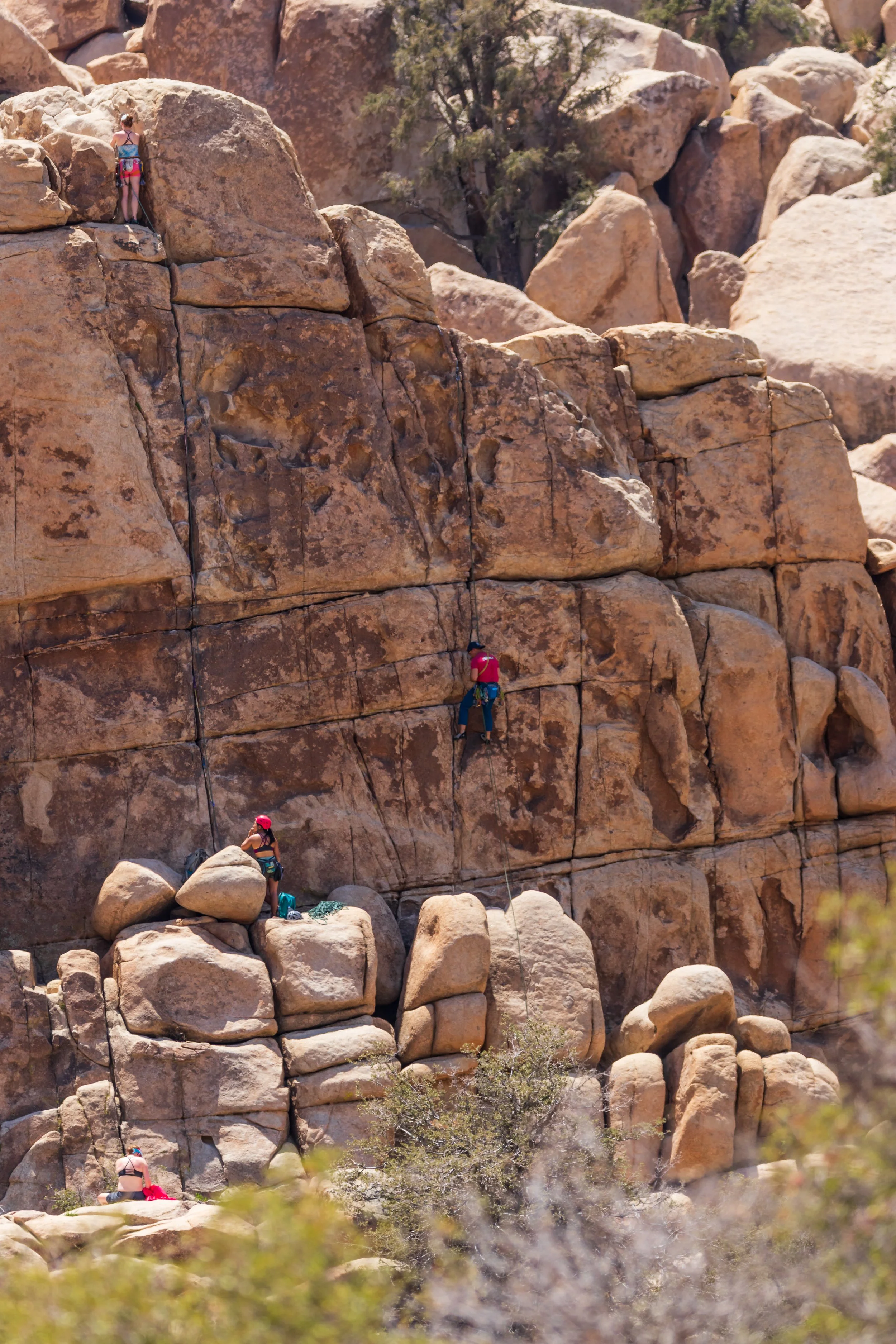 Joshua Tree, CA; May 2018