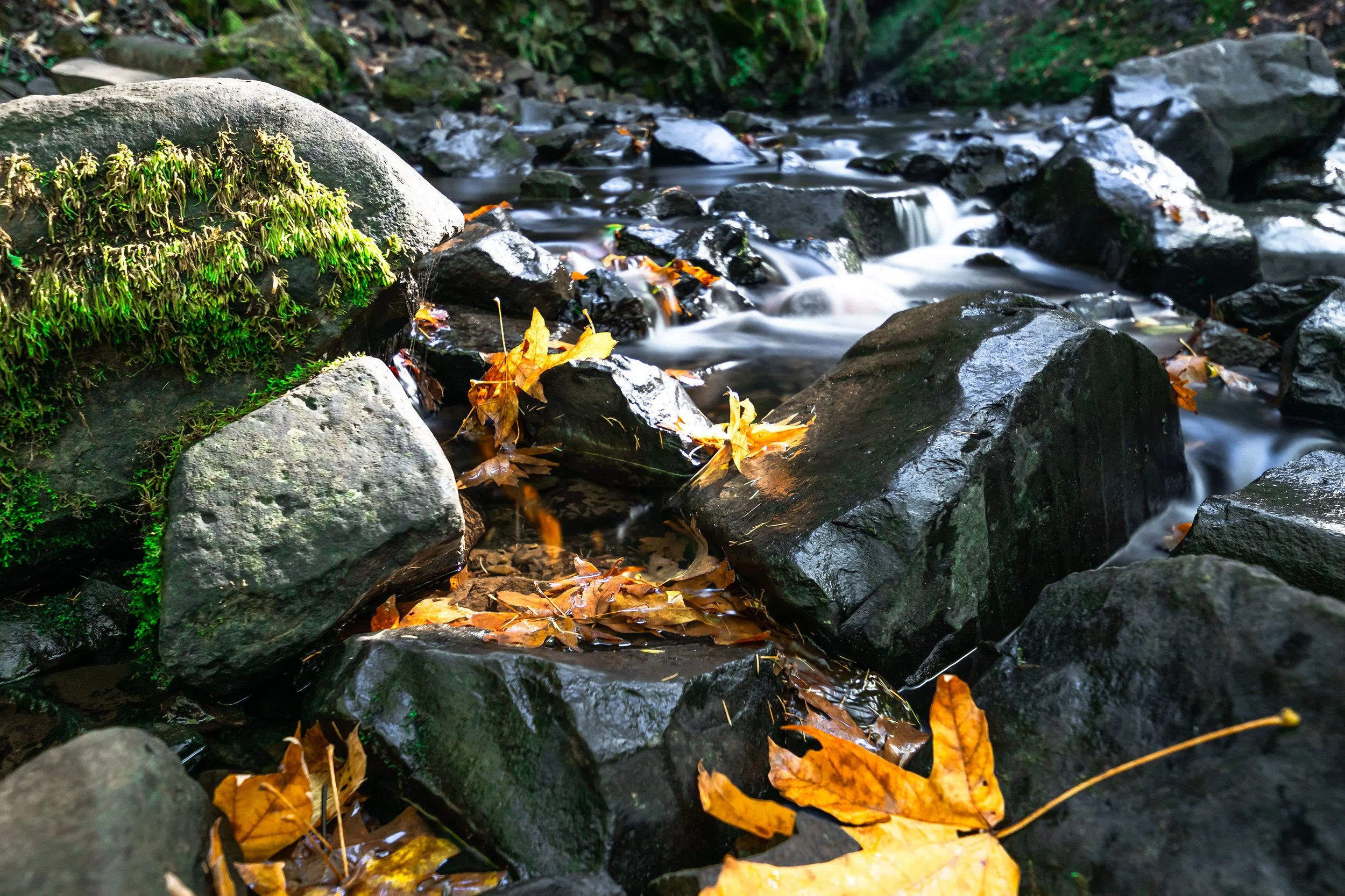 Latourell, OR; October 2018
