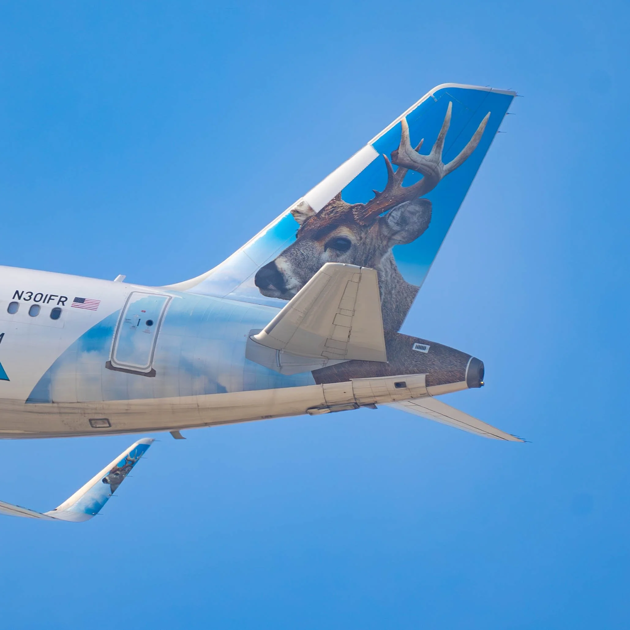 Frontier Airlines Airbus A320neo "Wilbur the White-tailed Deer"