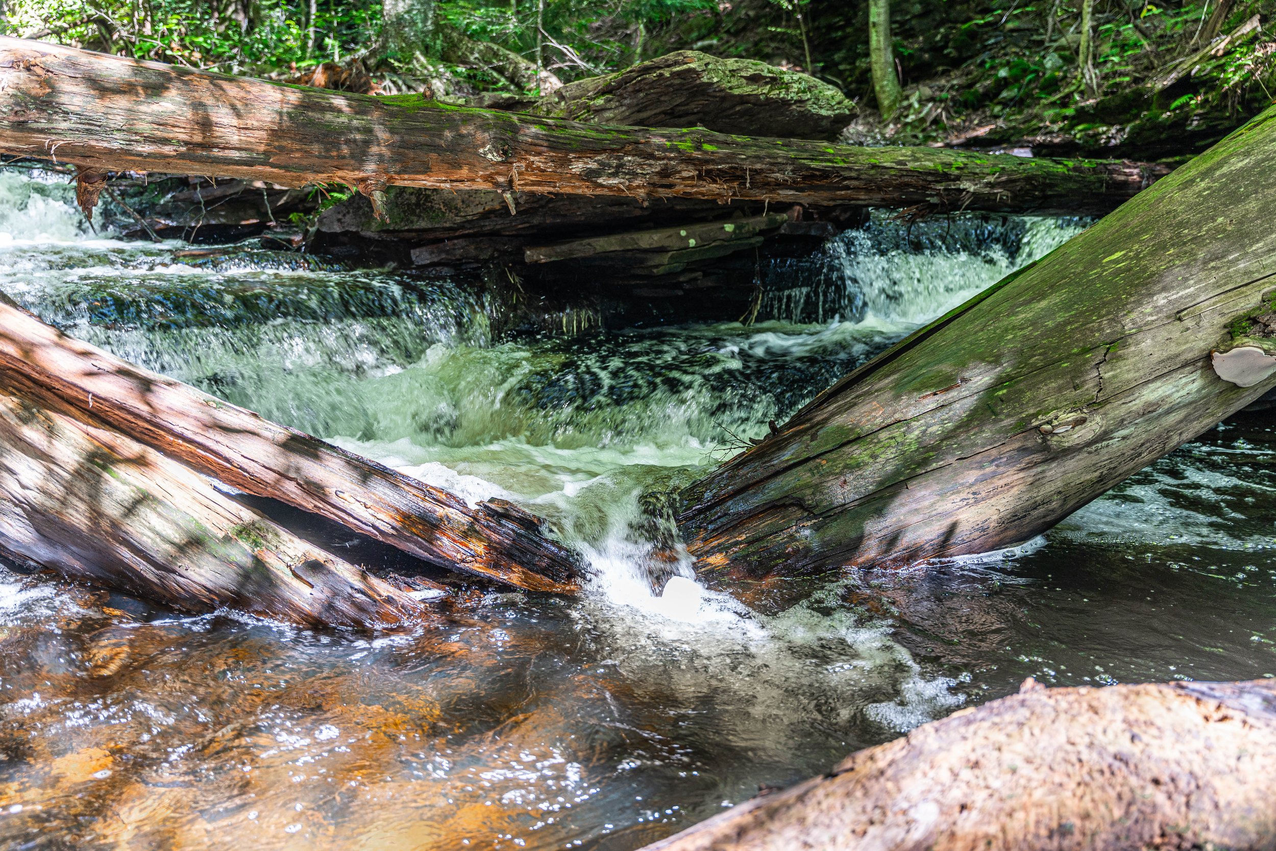 Ricketts Glen, PA; September 2023