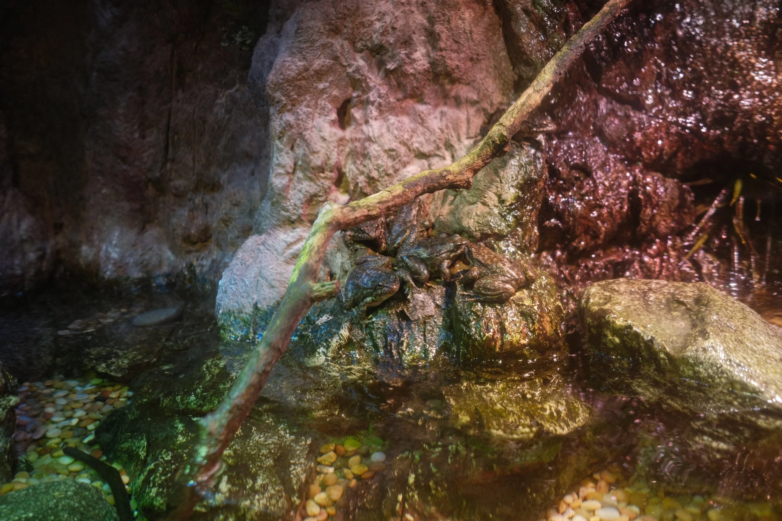 Long Beach, CA; December 2025