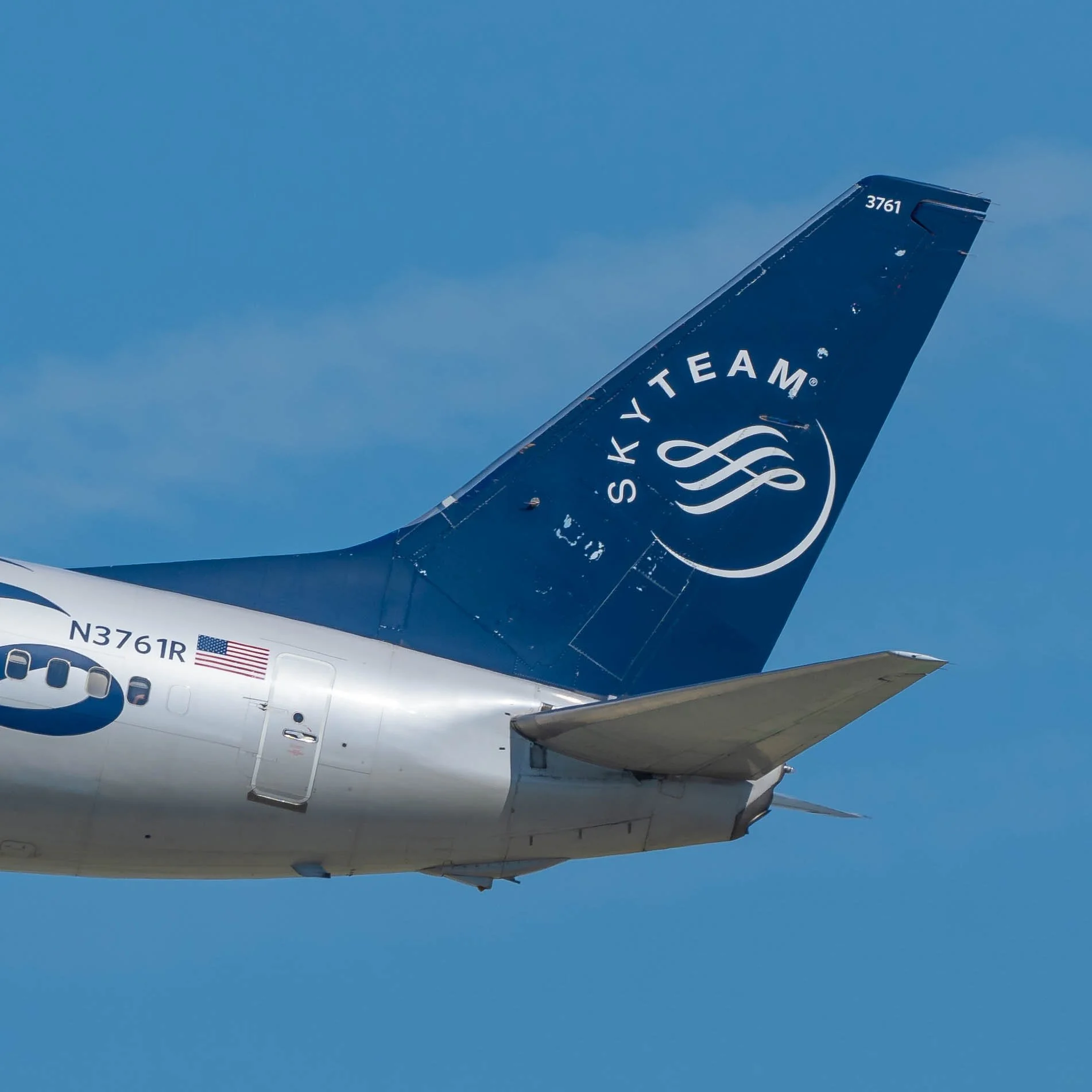 Delta Air Lines Boeing 737-800 "SkyTeam" Livery