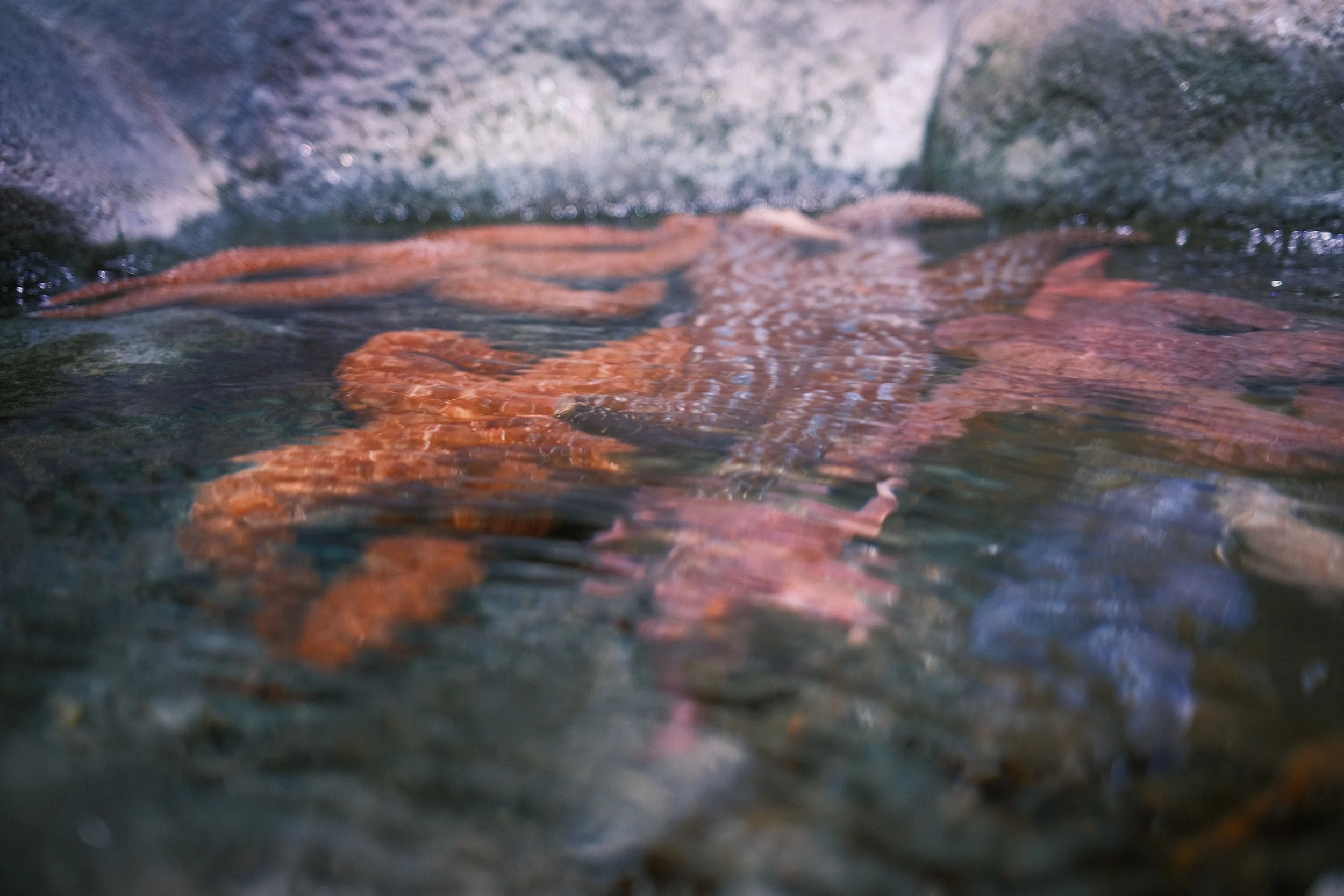 Long Beach, CA; December 2025