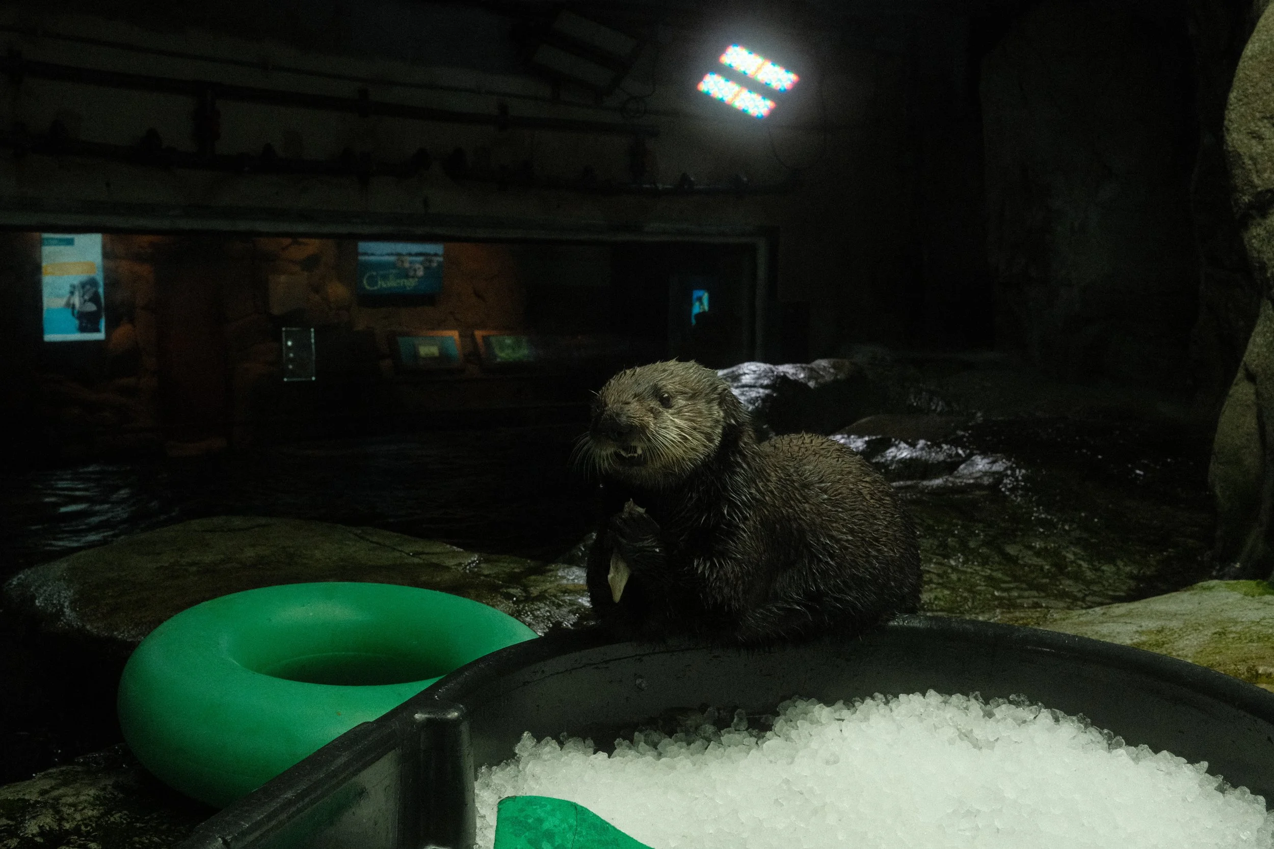 Long Beach, CA; December 2025