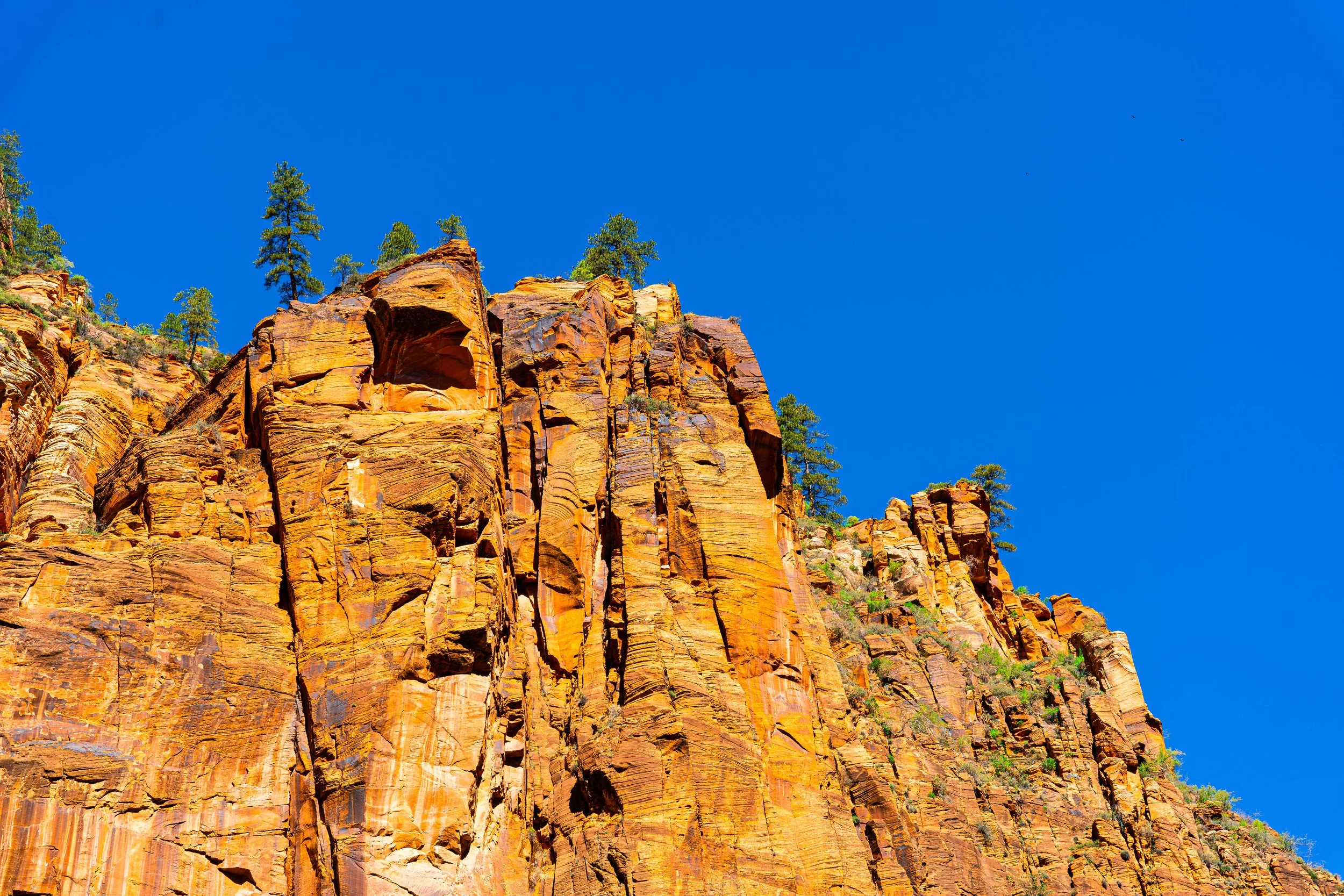 Zion National Park, UT; April 2024