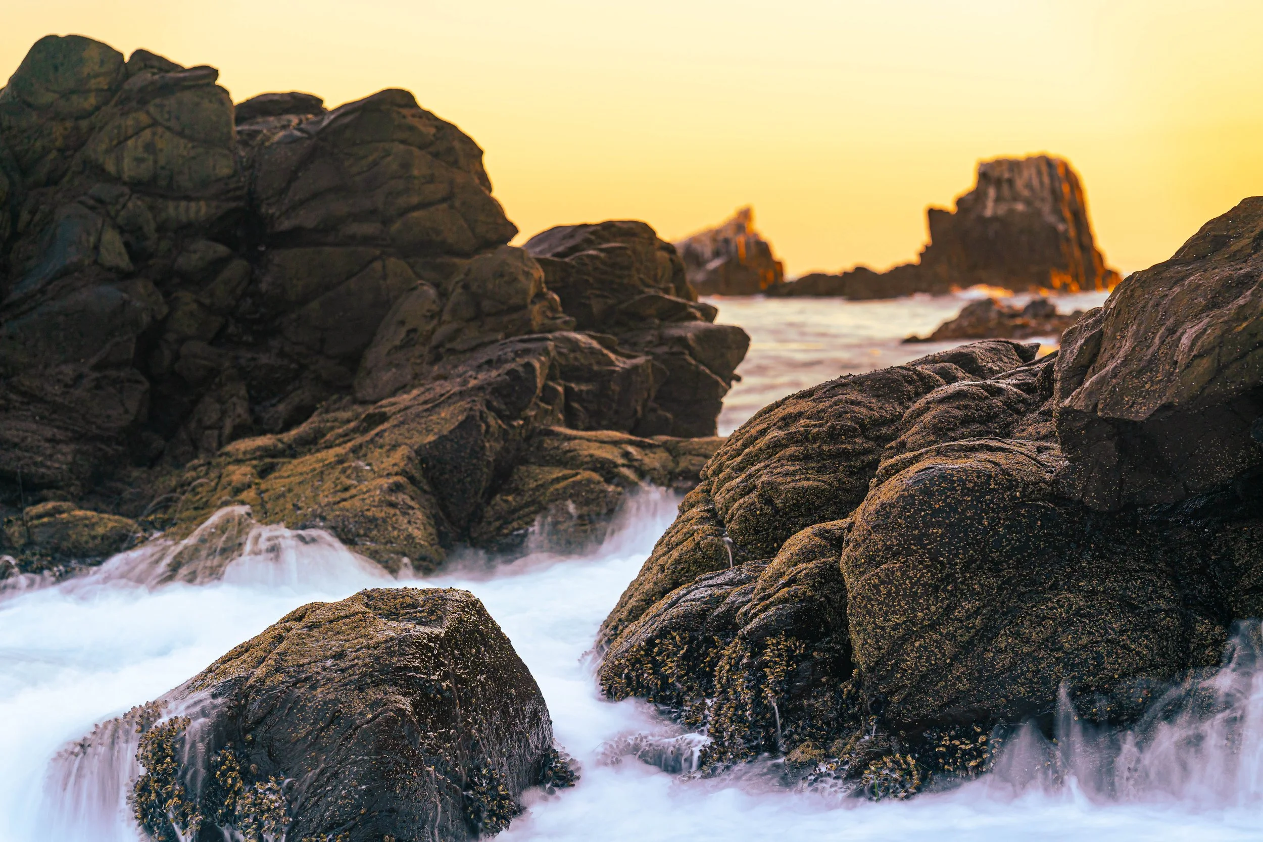 Laguna Beach, CA; June 2021