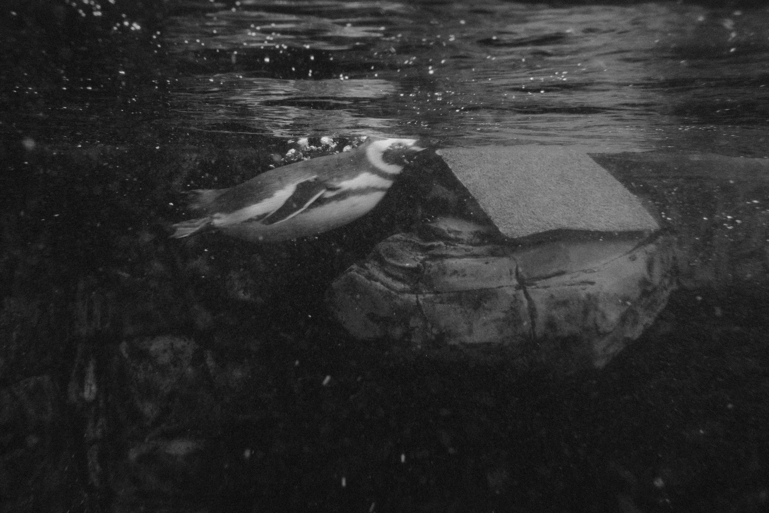 Long Beach, CA; November  2025