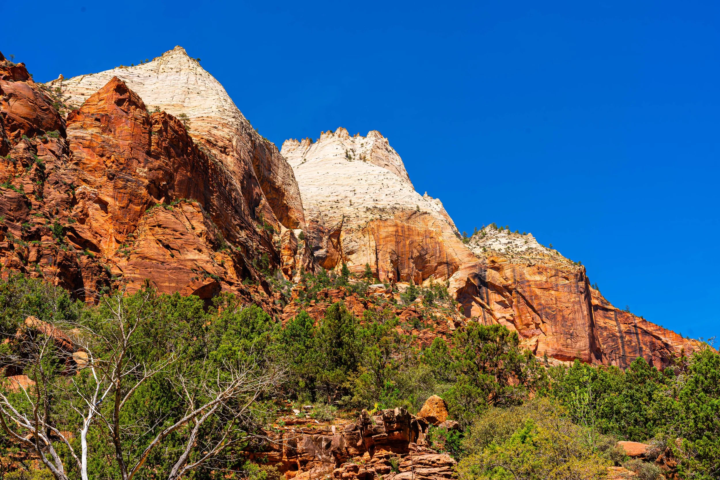 Zion National Park, UT; April 2024