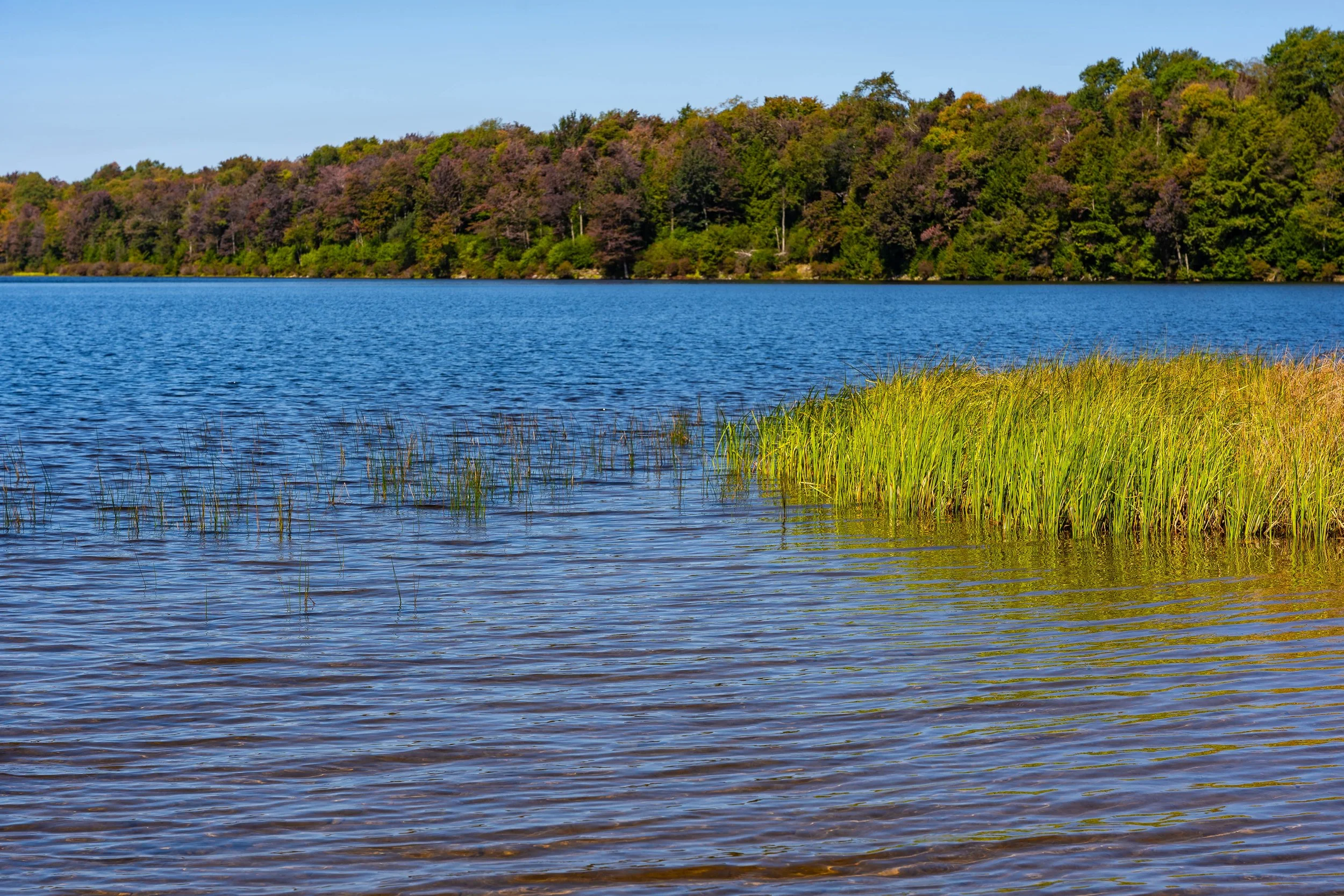 Ricketts Glen, PA; September 2023