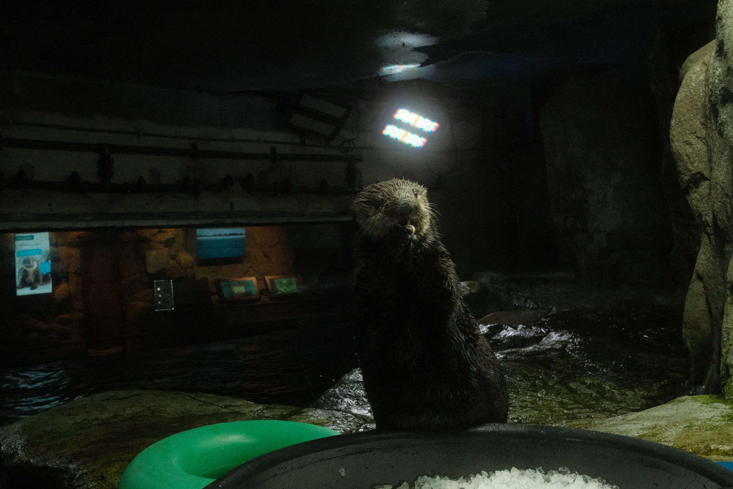 Long Beach, CA; December 2025