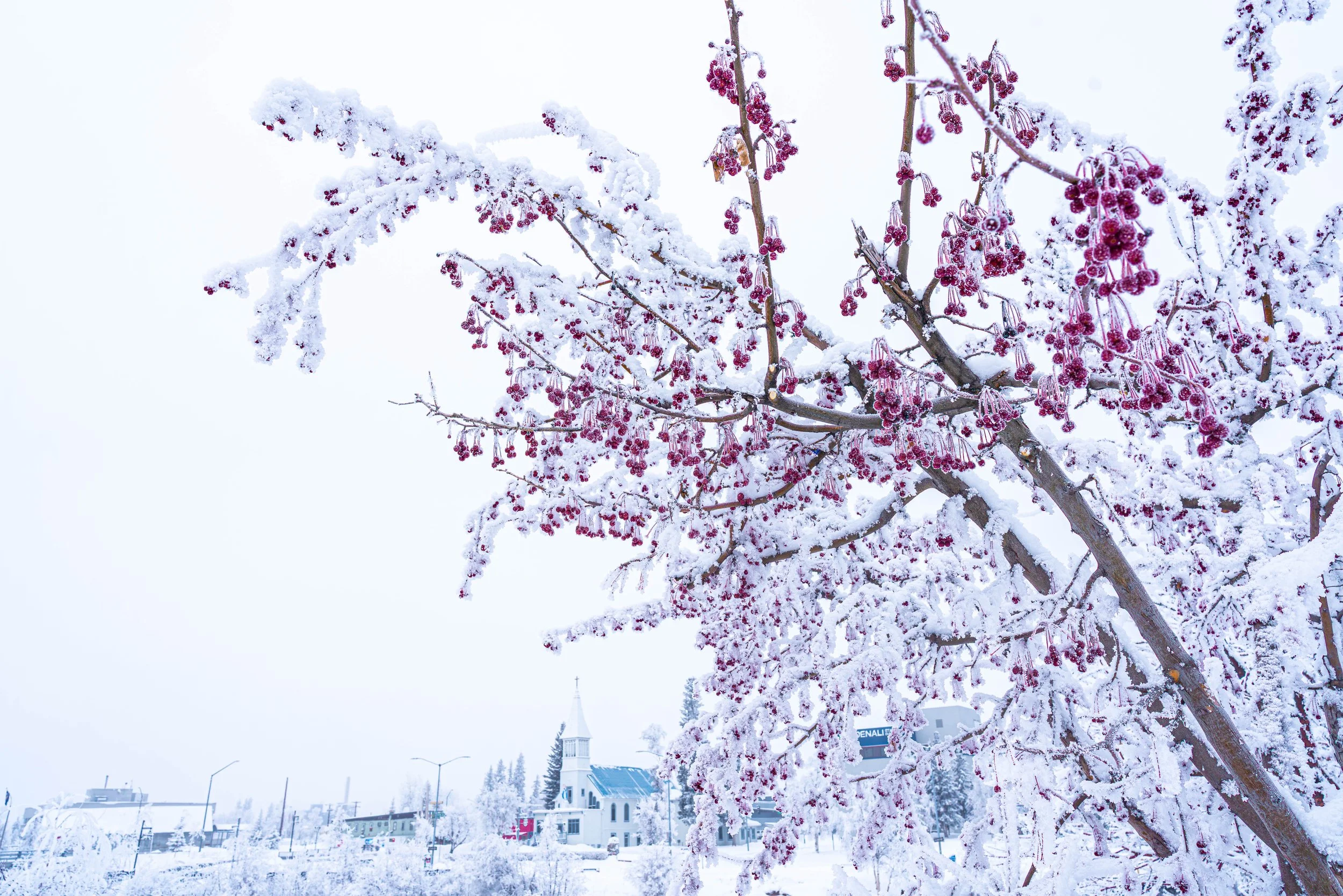 Fairbanks, AK; February 2025