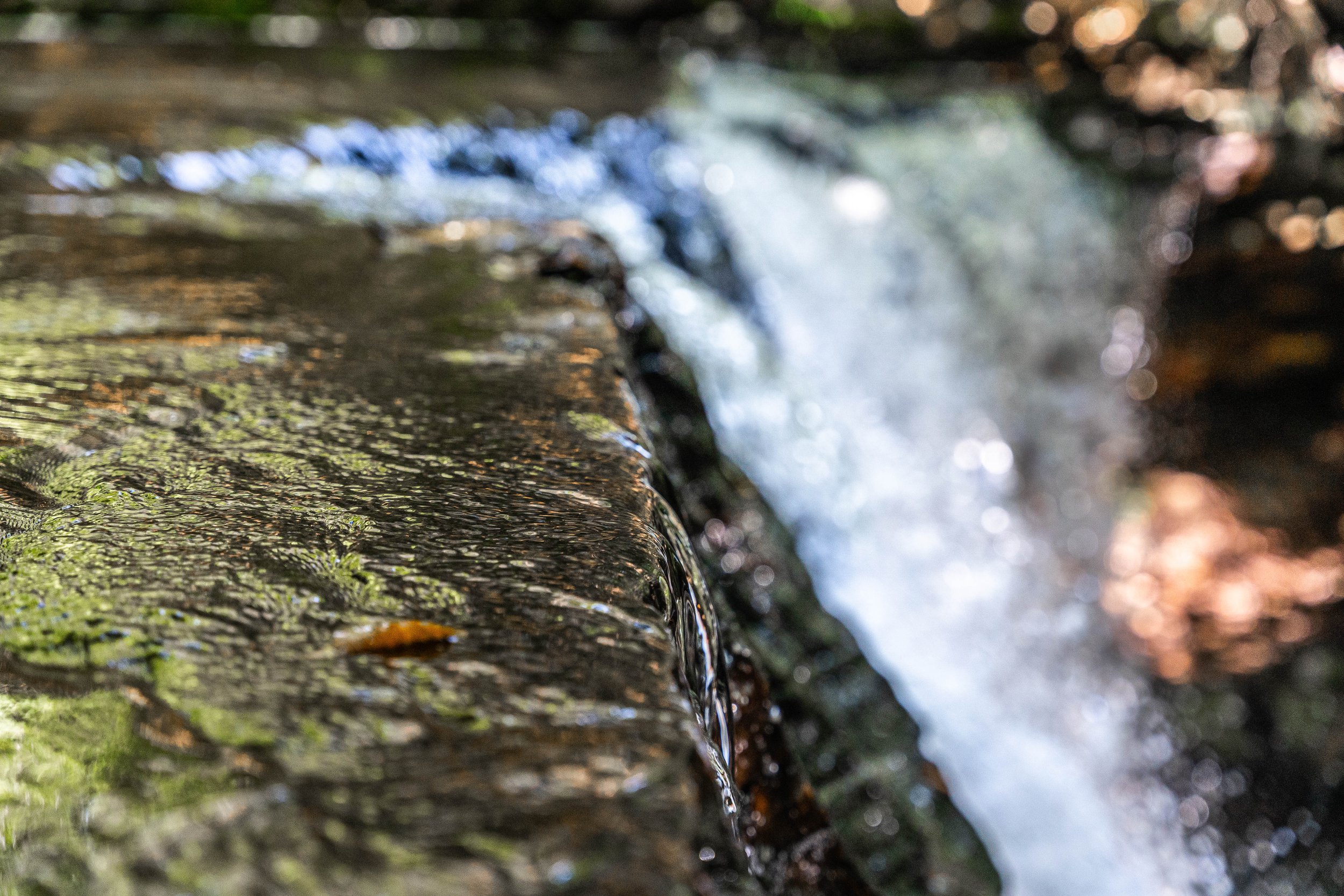 Ricketts Glen, PA; September 2023