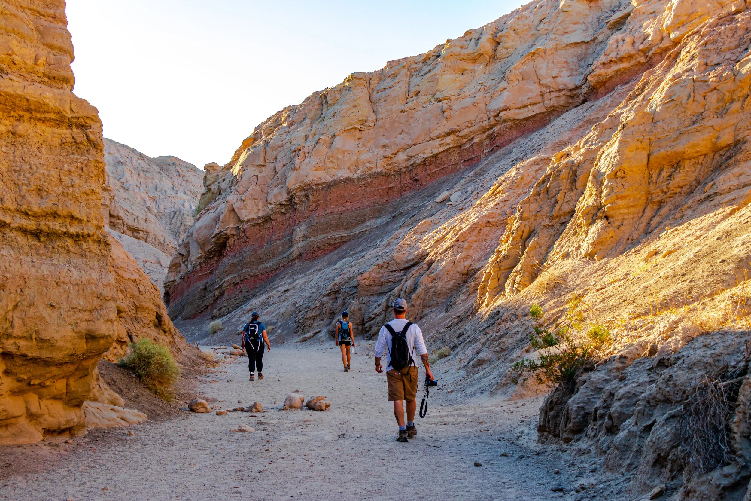 Anza-Borrego, CA; November 2019